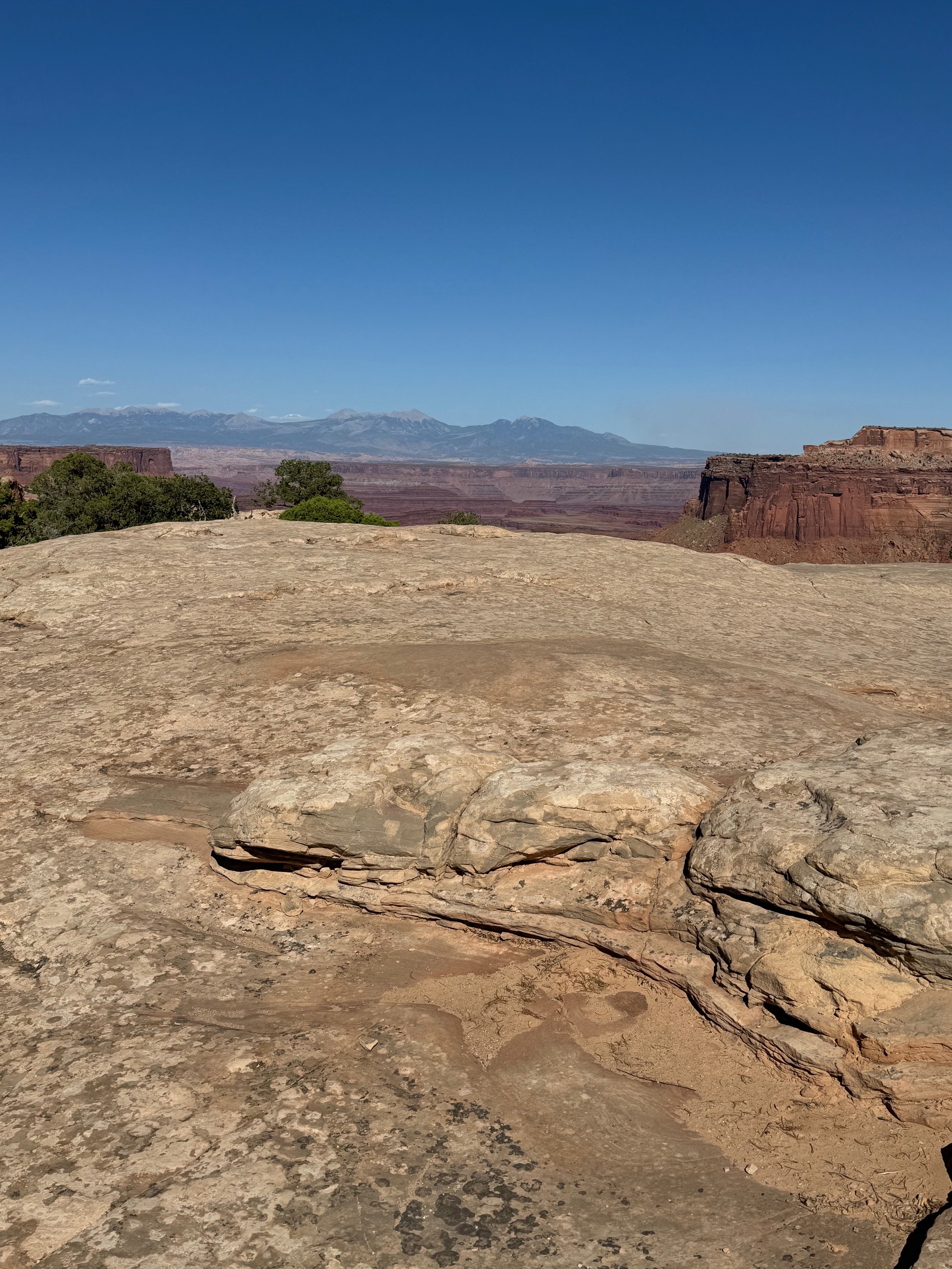 The rock I was standing on to take the pics of the canyon. - Canyonlands National Park - Moab UT