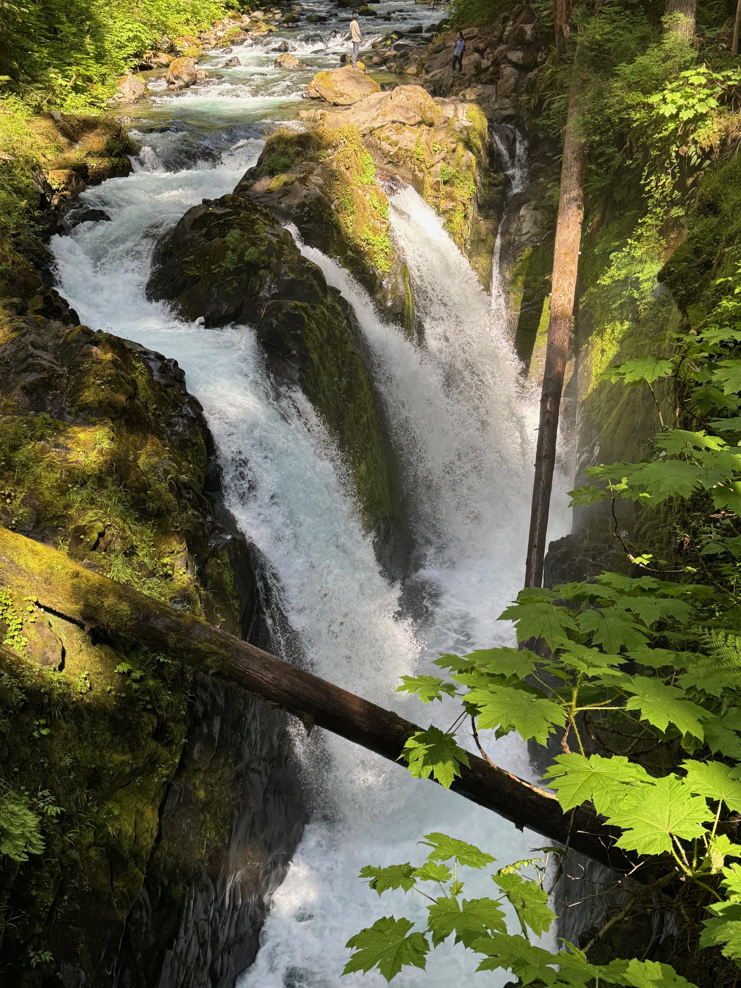 Photos just do not do it justice - you have to go!! Sol Duc Falls - Olympic National Park
