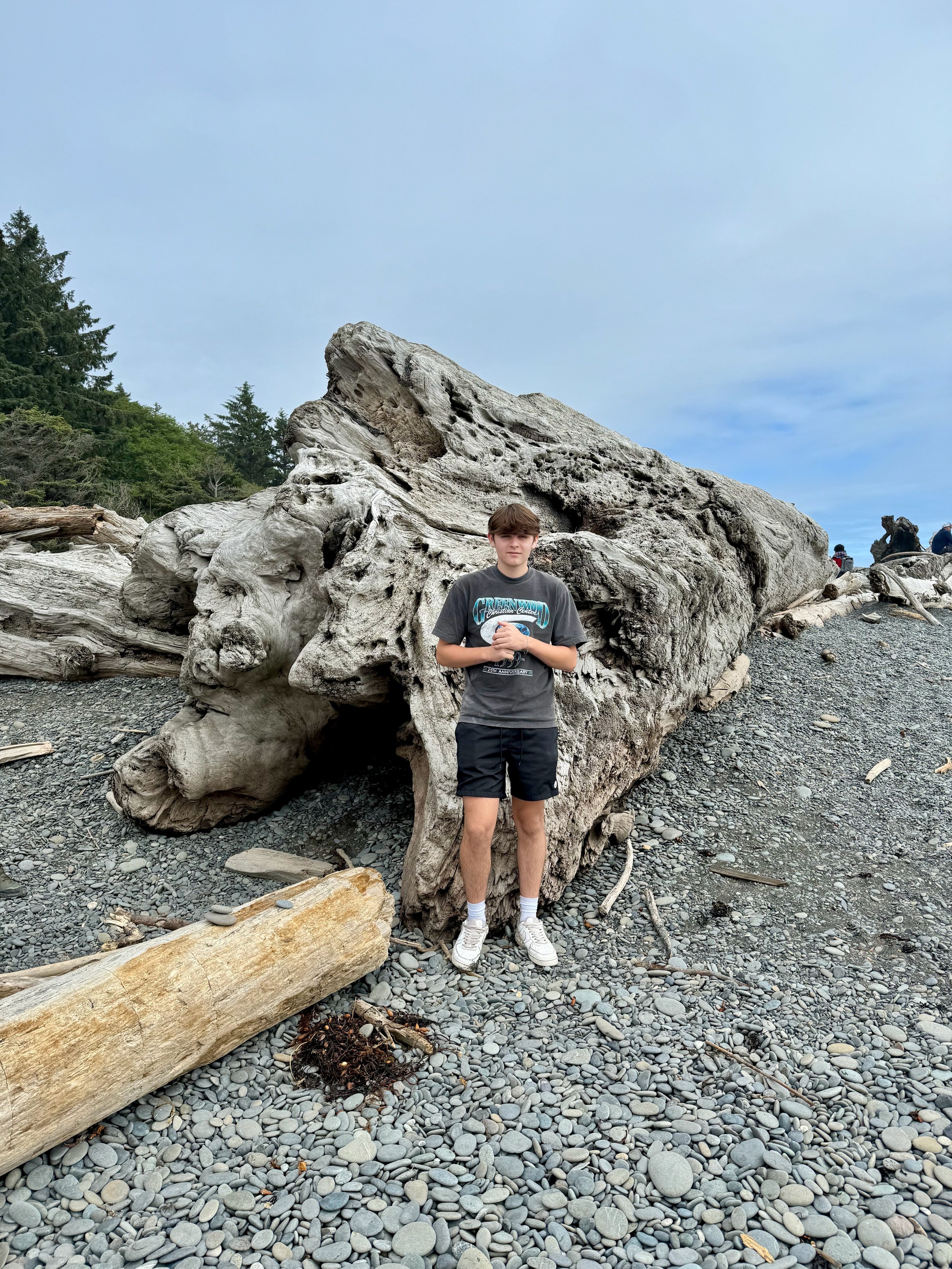 This driftwood is crazy!! Weston is right around 6 ft tall so that gives you an idea of the size! Rialto Beach - Olympic National Park - Washington State