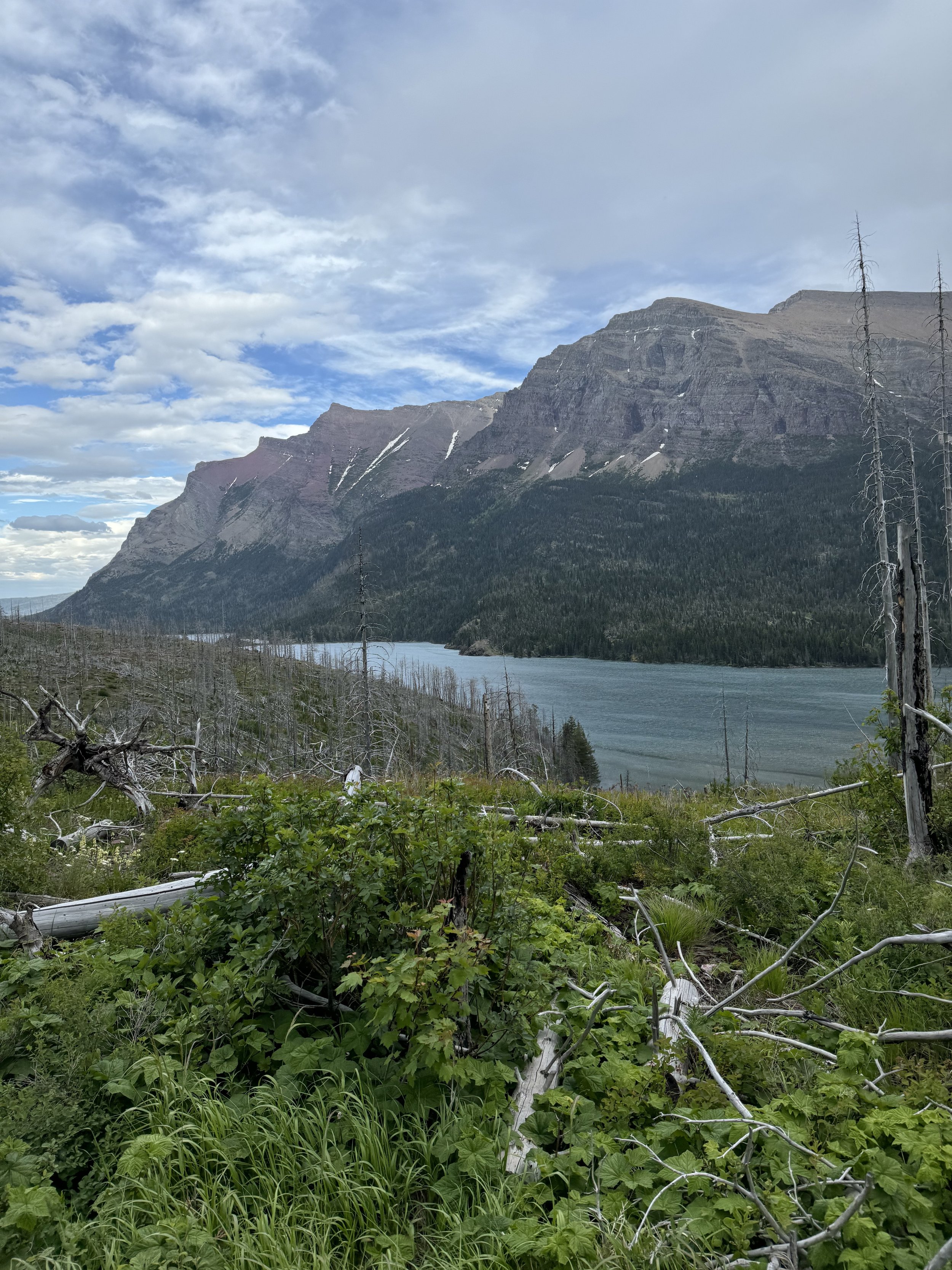 Views - St. Mary Falls Hike - Glacier N.P.