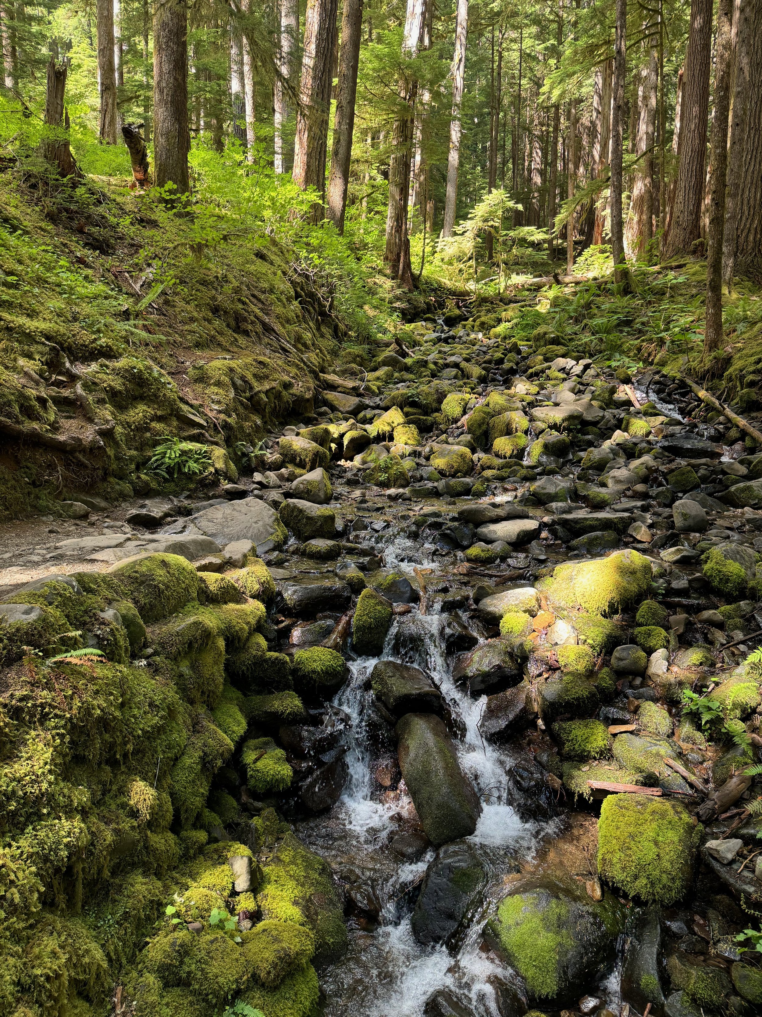 Mossy Waterfall - Sol Duc Falls Trail - Olympic National Park