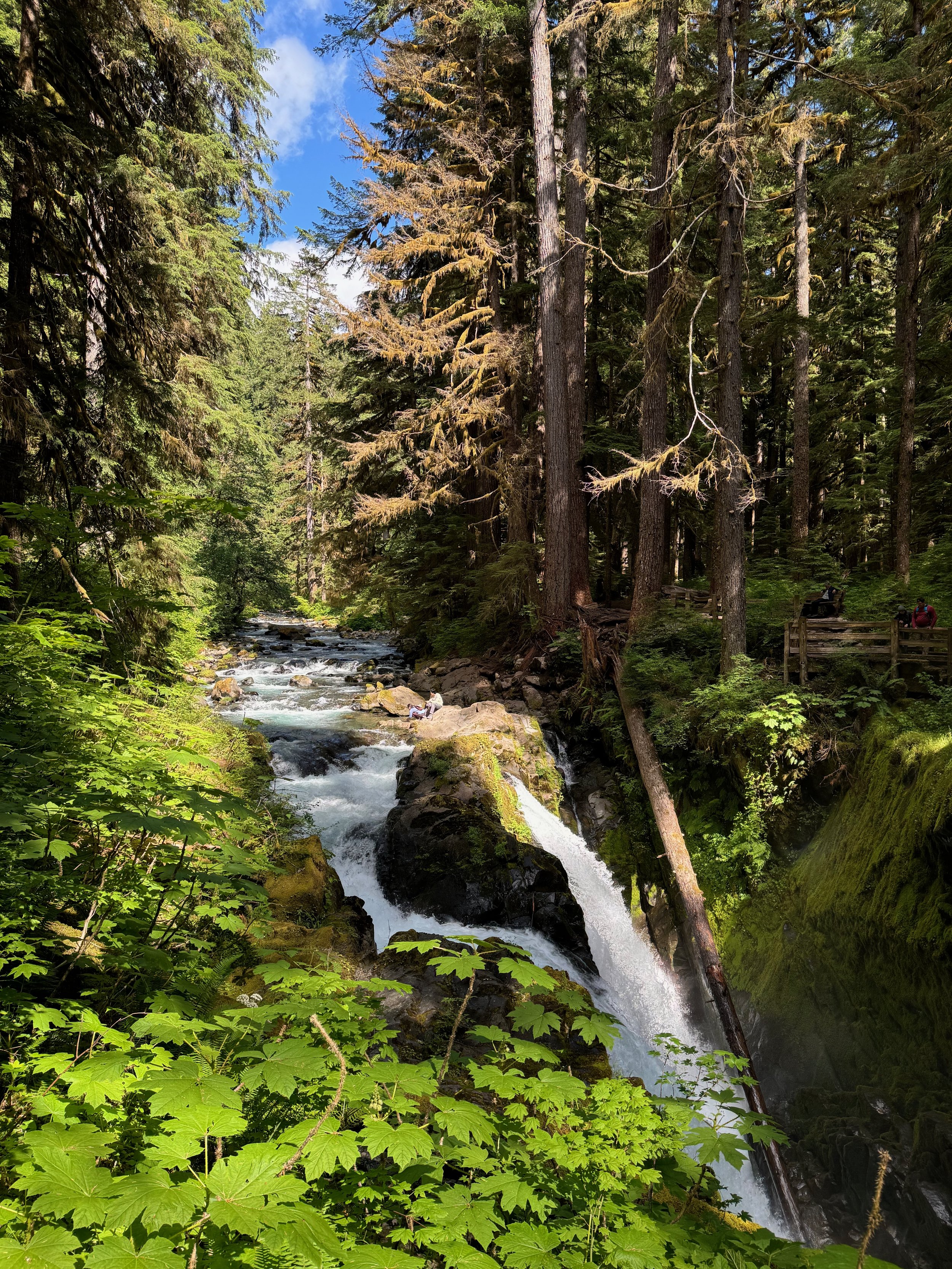 First glimpse of Sol Duc Falls from the trail - Sol Duc Falls Trail - Olympic National Park