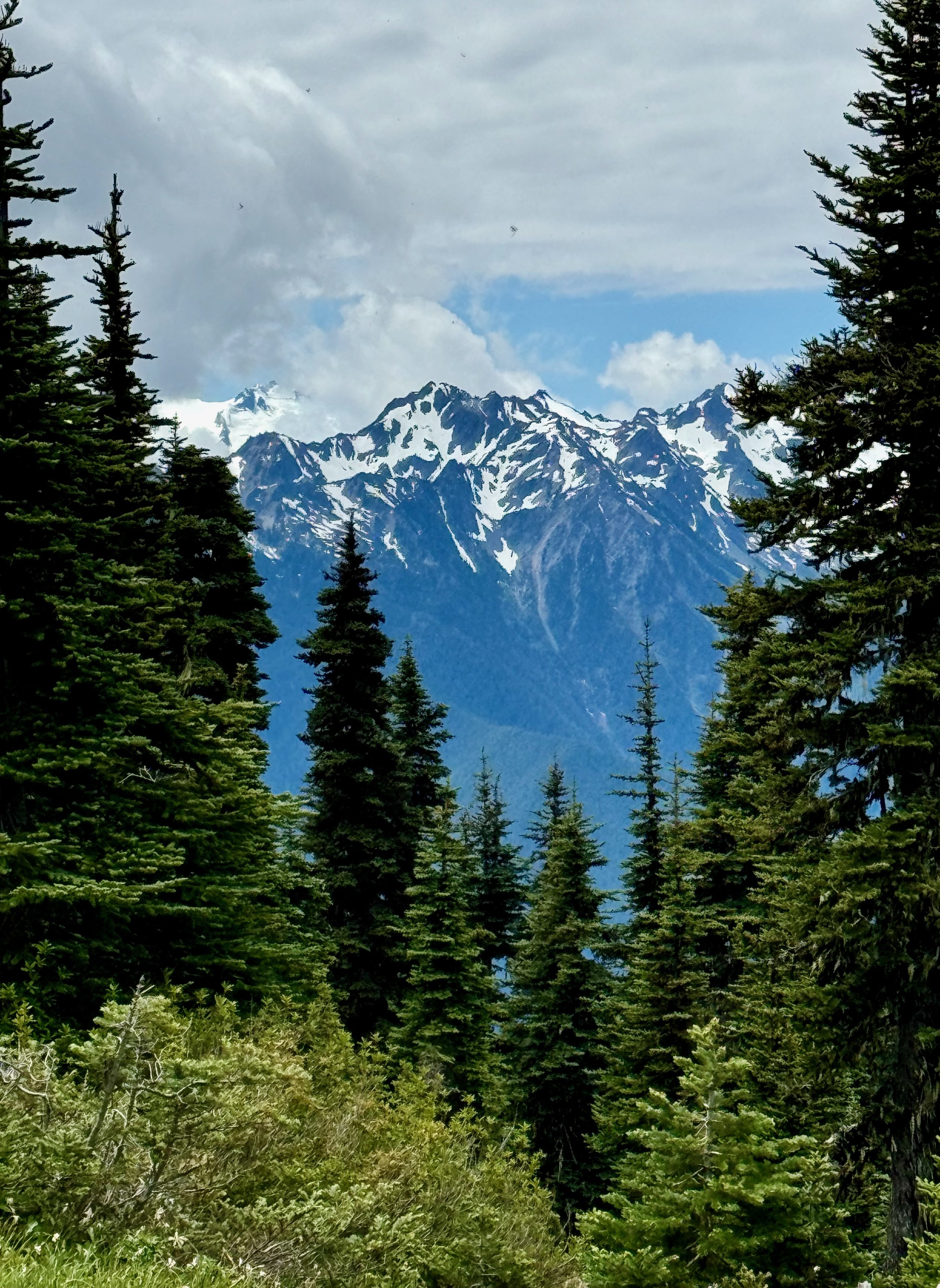 LOVE - Hurricane Ridge High Ridge Trail Views - Olympic National Park