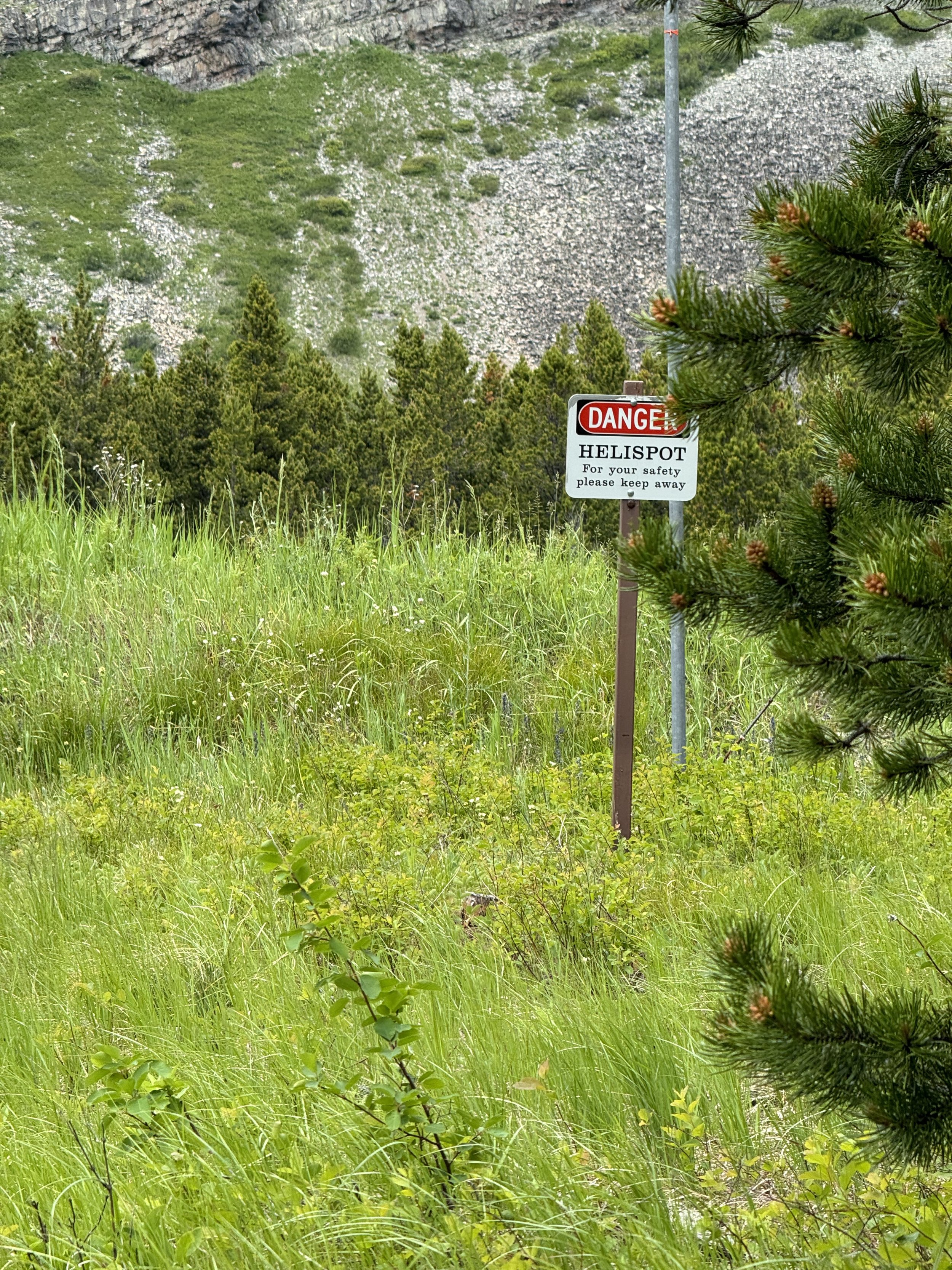 Helispot at Many Glacier Area