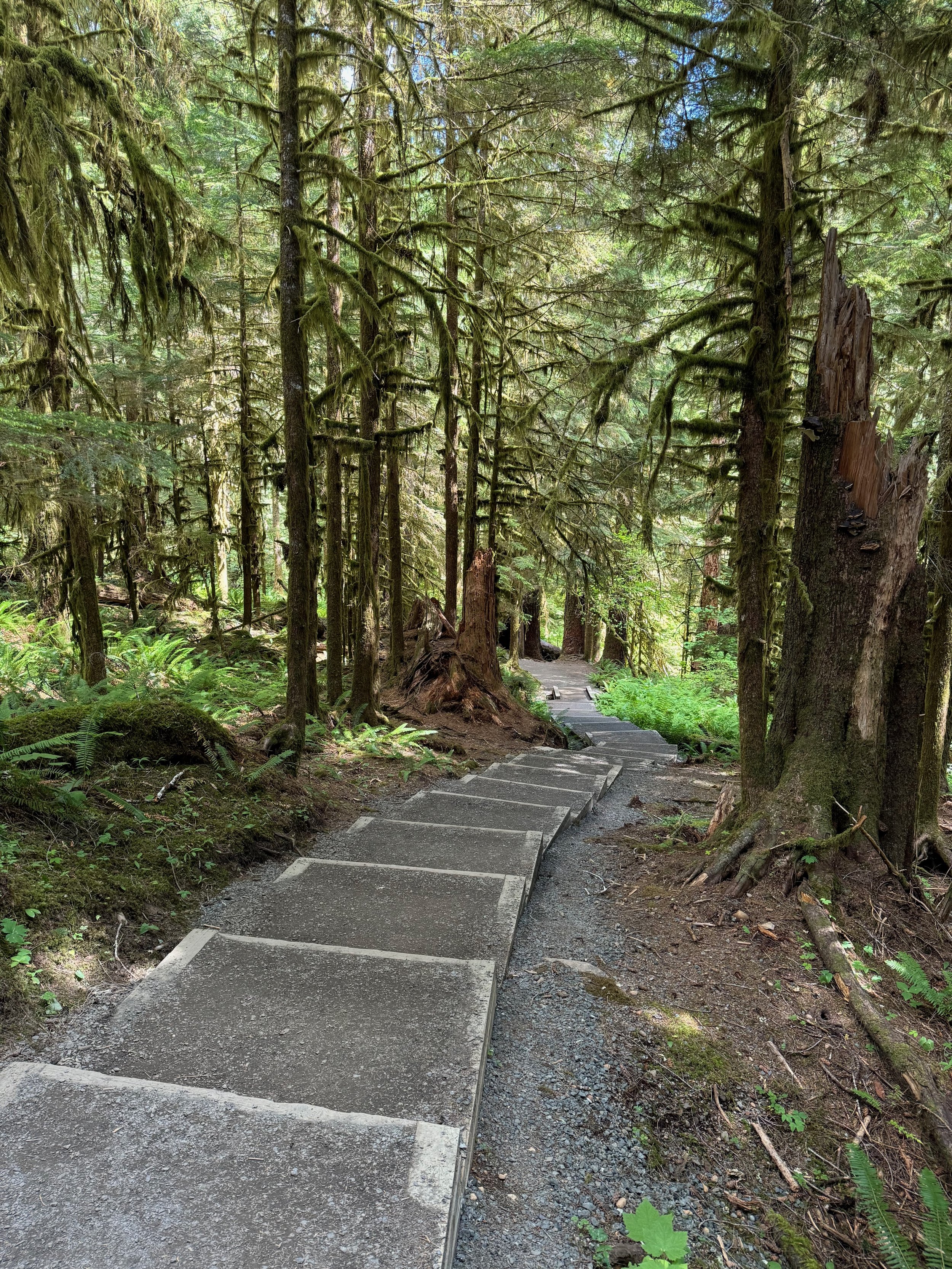 Staircase built into the mountain - Sol Duc Falls Trail - Olympic National Park