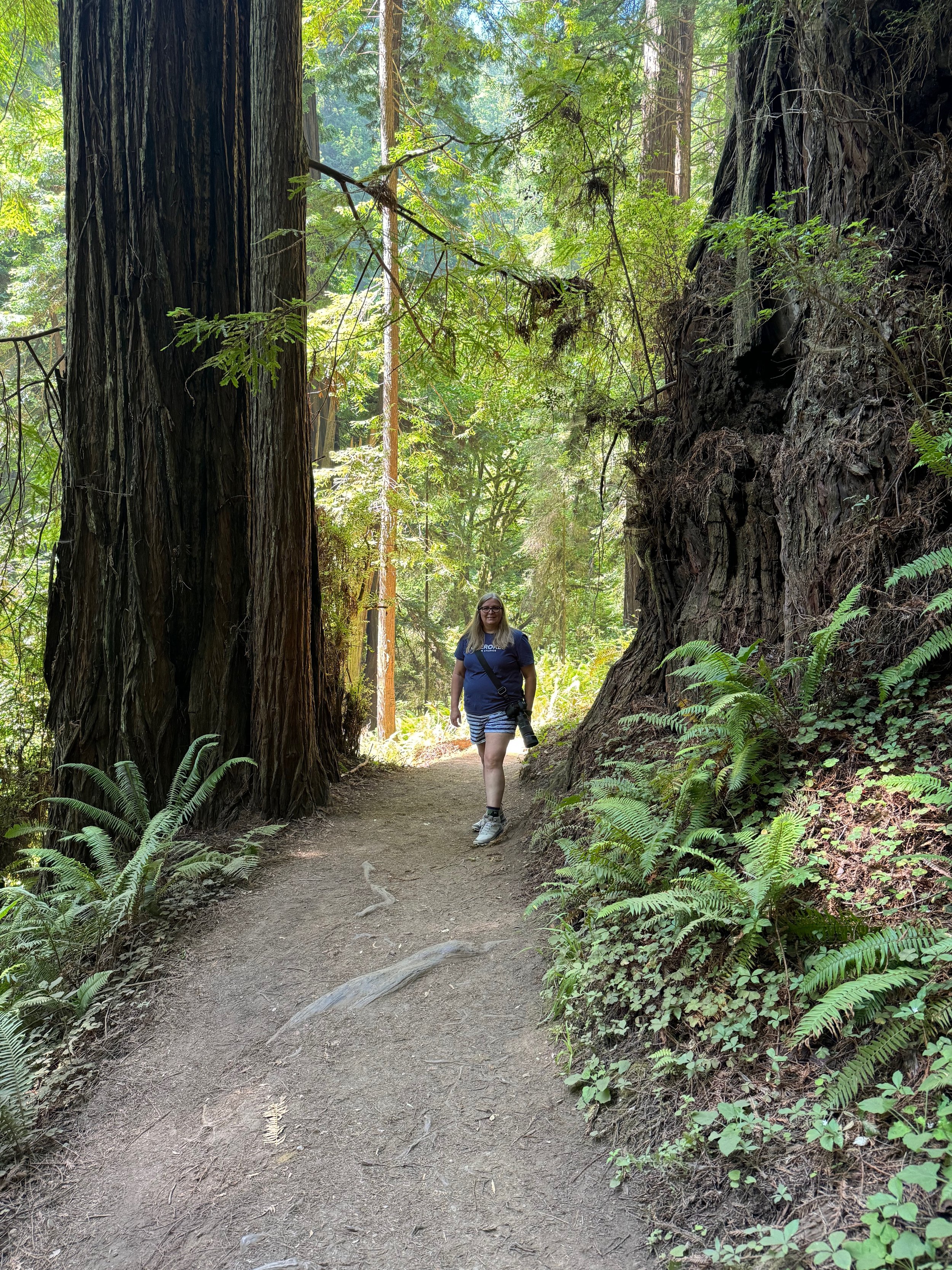 Jodi's Turn...- Redwood National Forest - Elk Meadow - Trillium Falls Trail - Trinidad CA