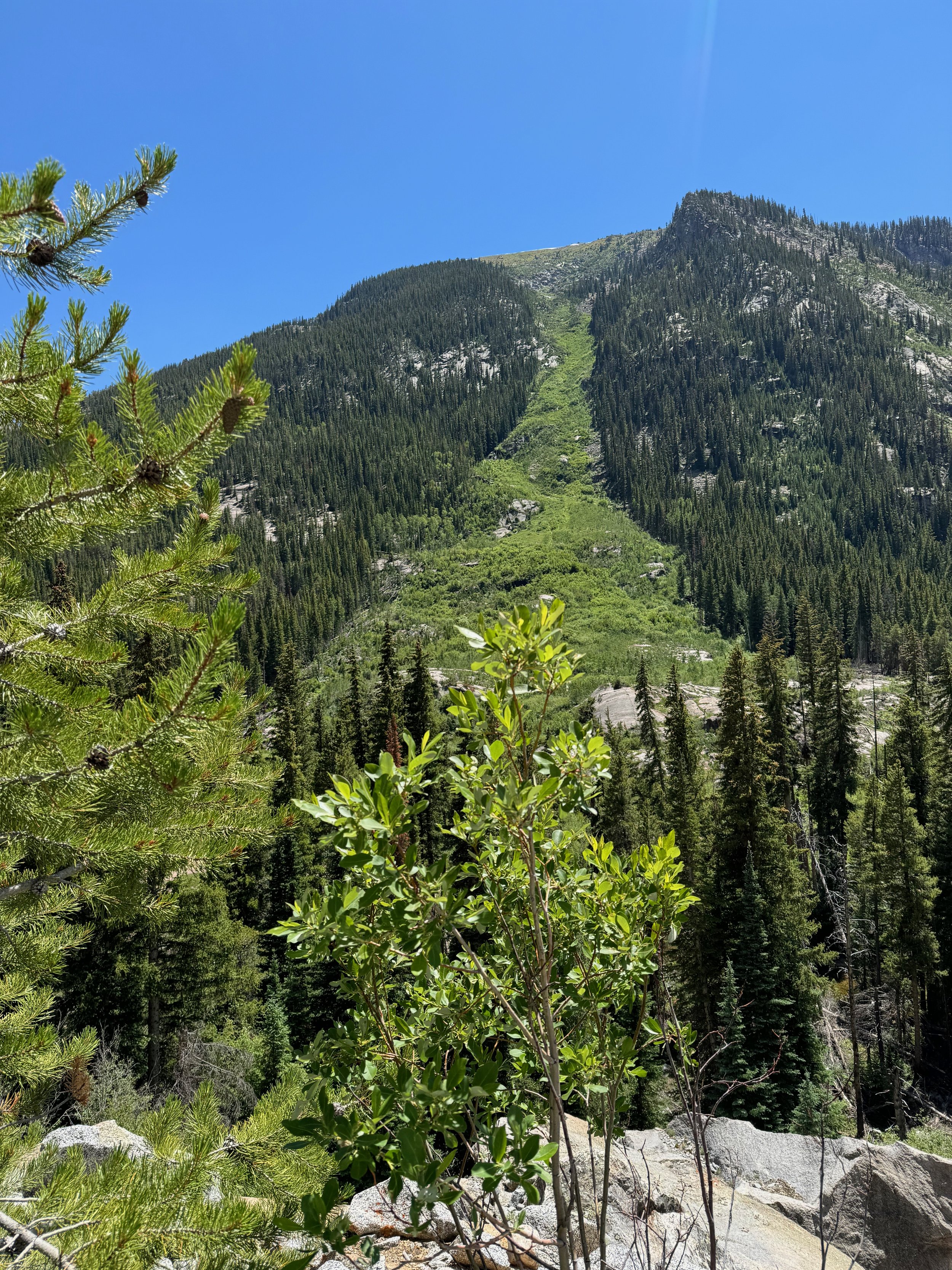 Summer view of an Aspen-area ski run - Aspen CO