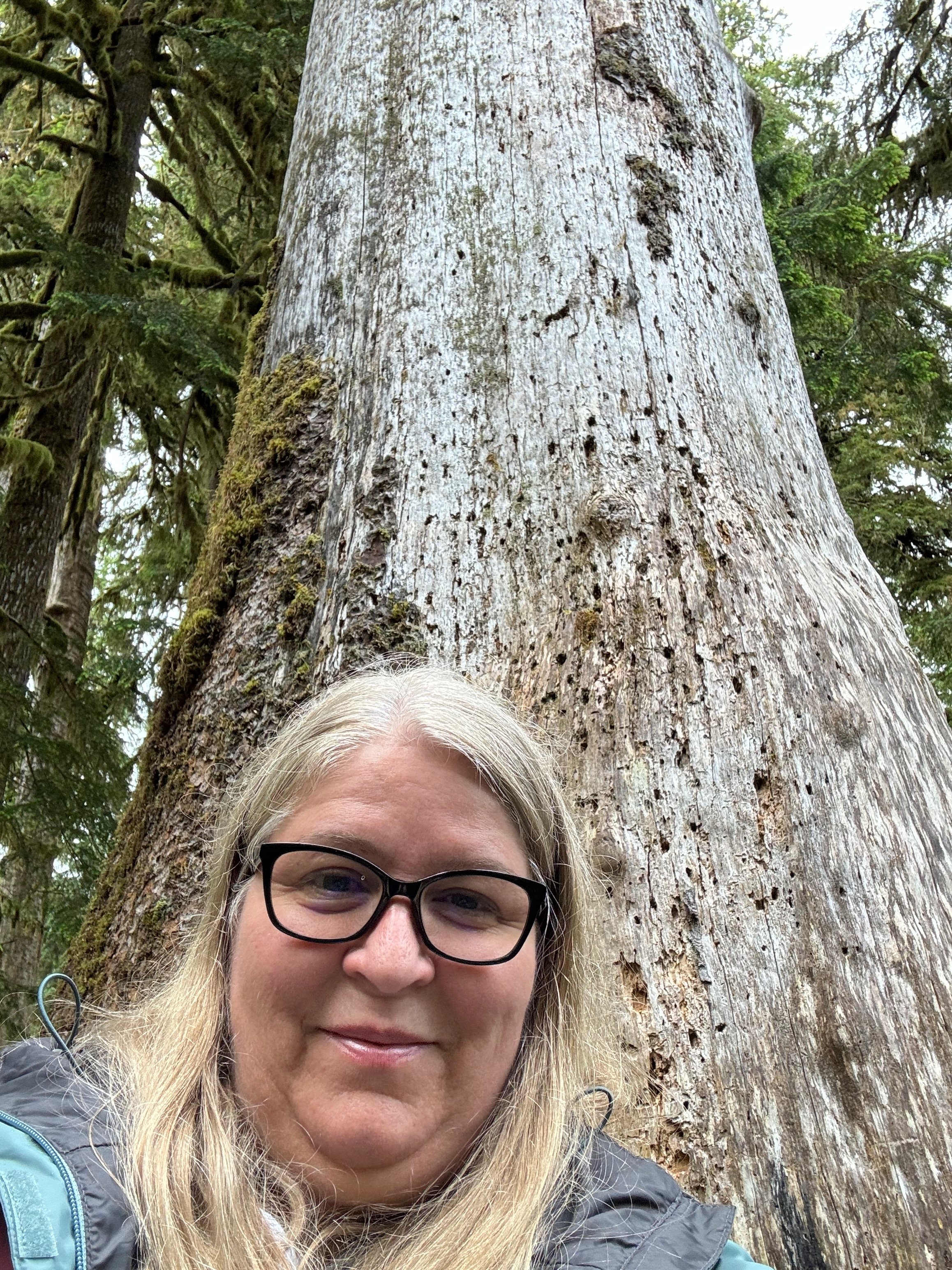 Jodi and the Giant Tree - Hoh Rainforest - Olympic NP - Washington State