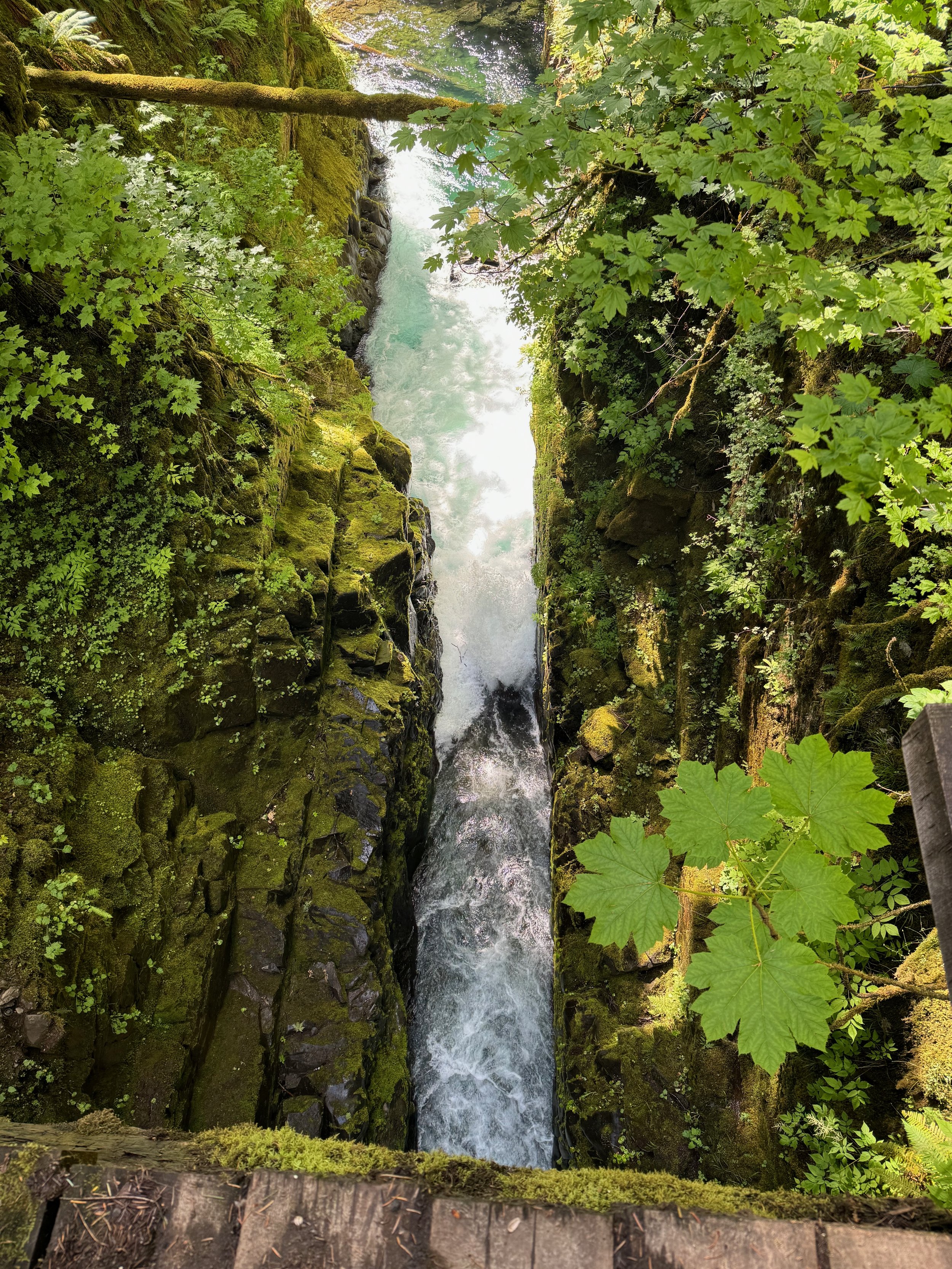 Sandstone Chasm cut by the water under the bridge at Sol Duc Falls - Olympic National Park