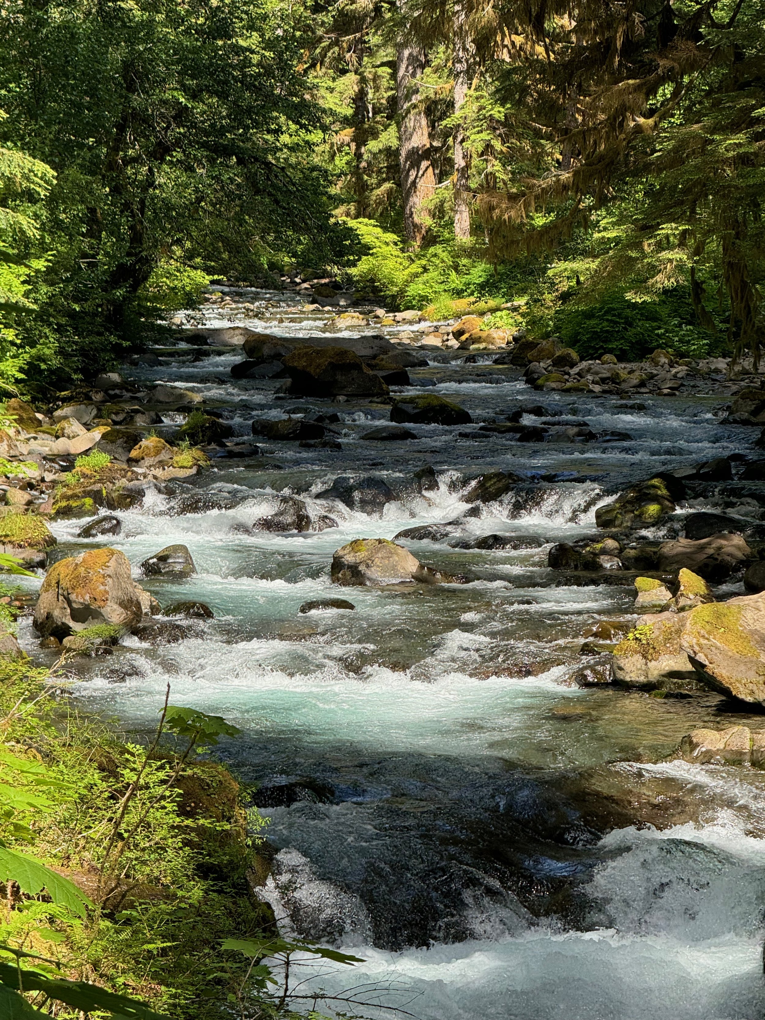 Beautiful creek at Sol Duc Falls - Olympic National Park