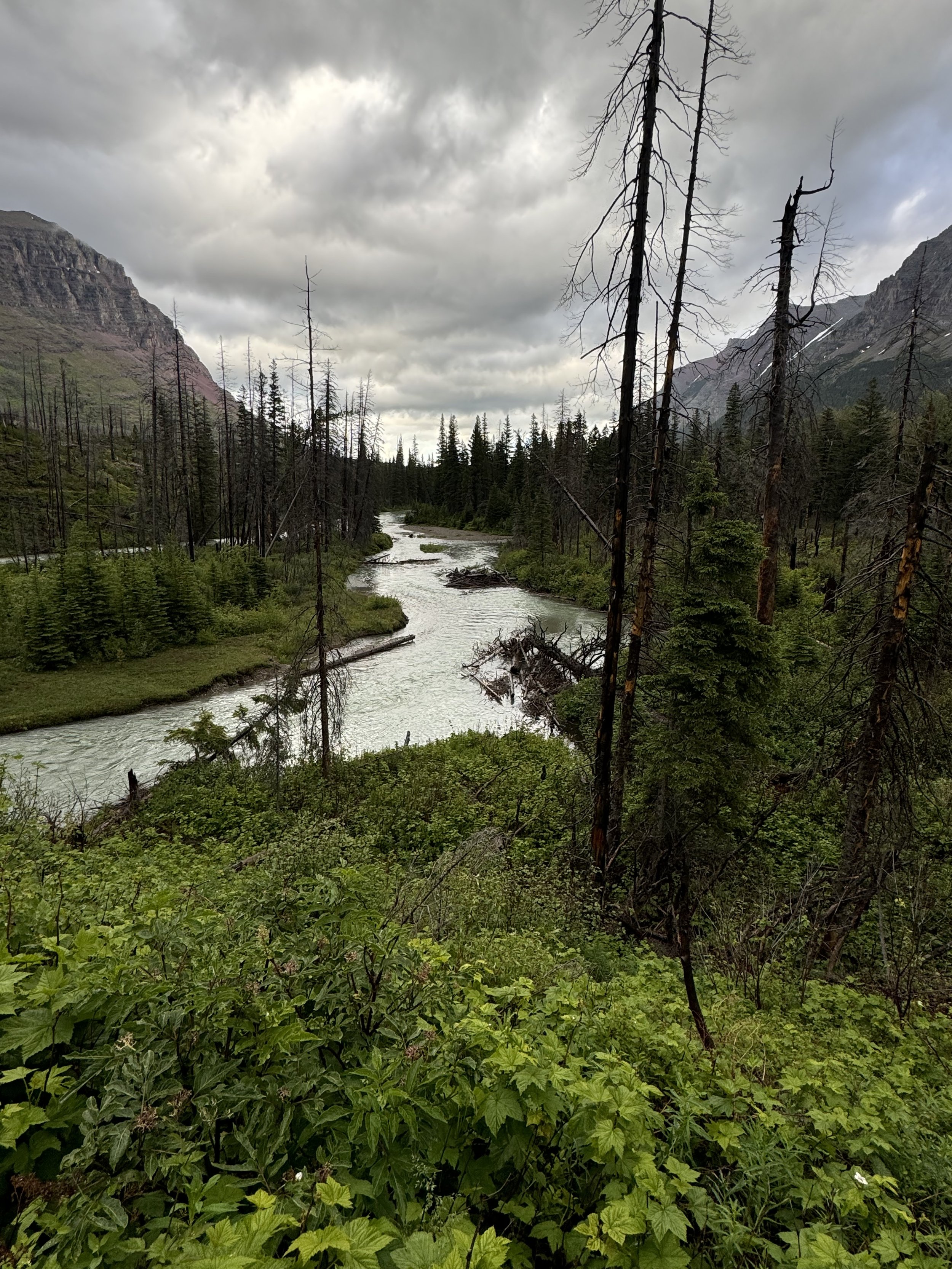 Views from atop Virginia Falls - Glacier National Park