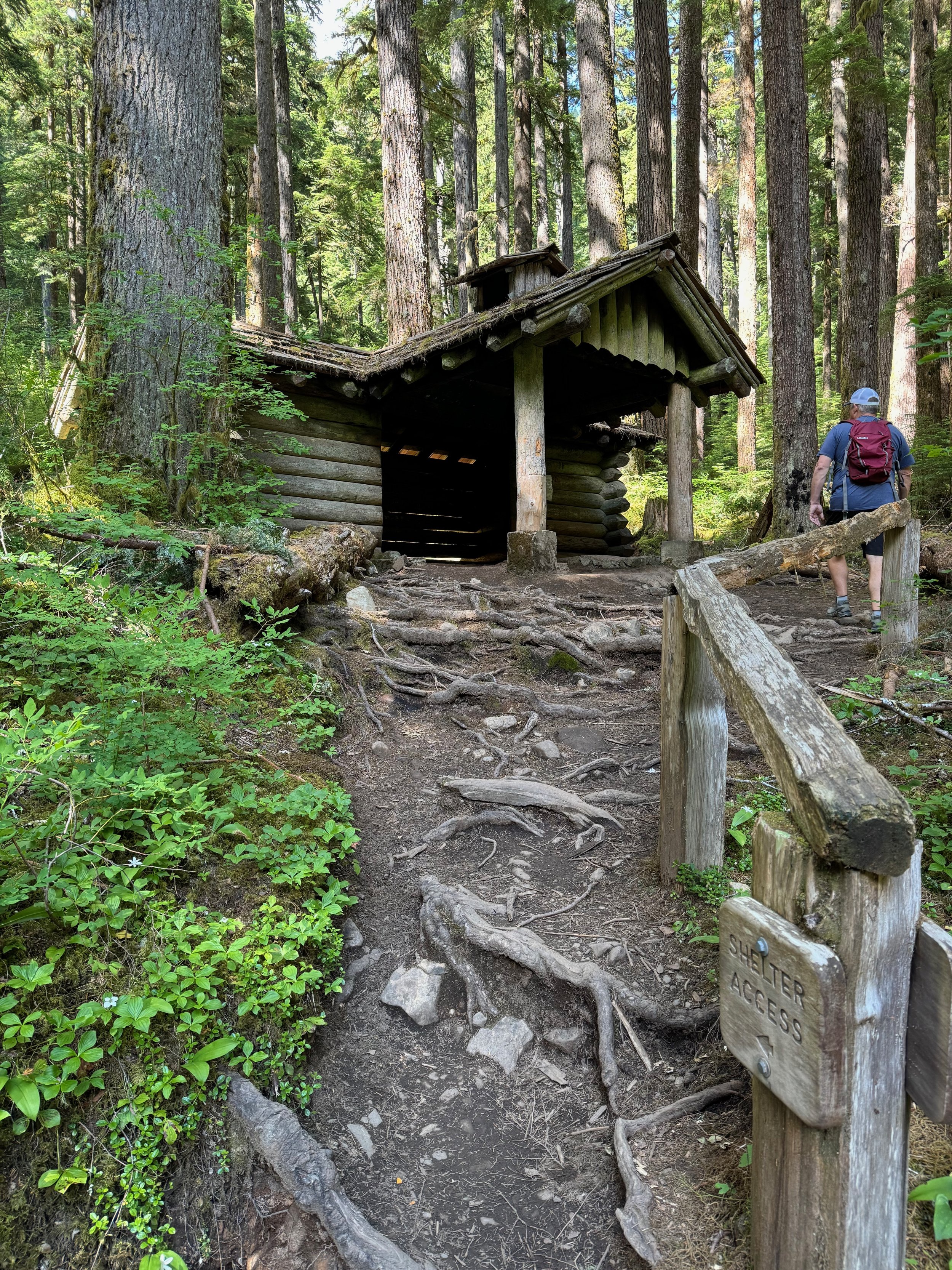 The "What's that" moment - Canyon Creek Shelter a.k.a. Sol Duc Falls Shelter - Olympic National Park