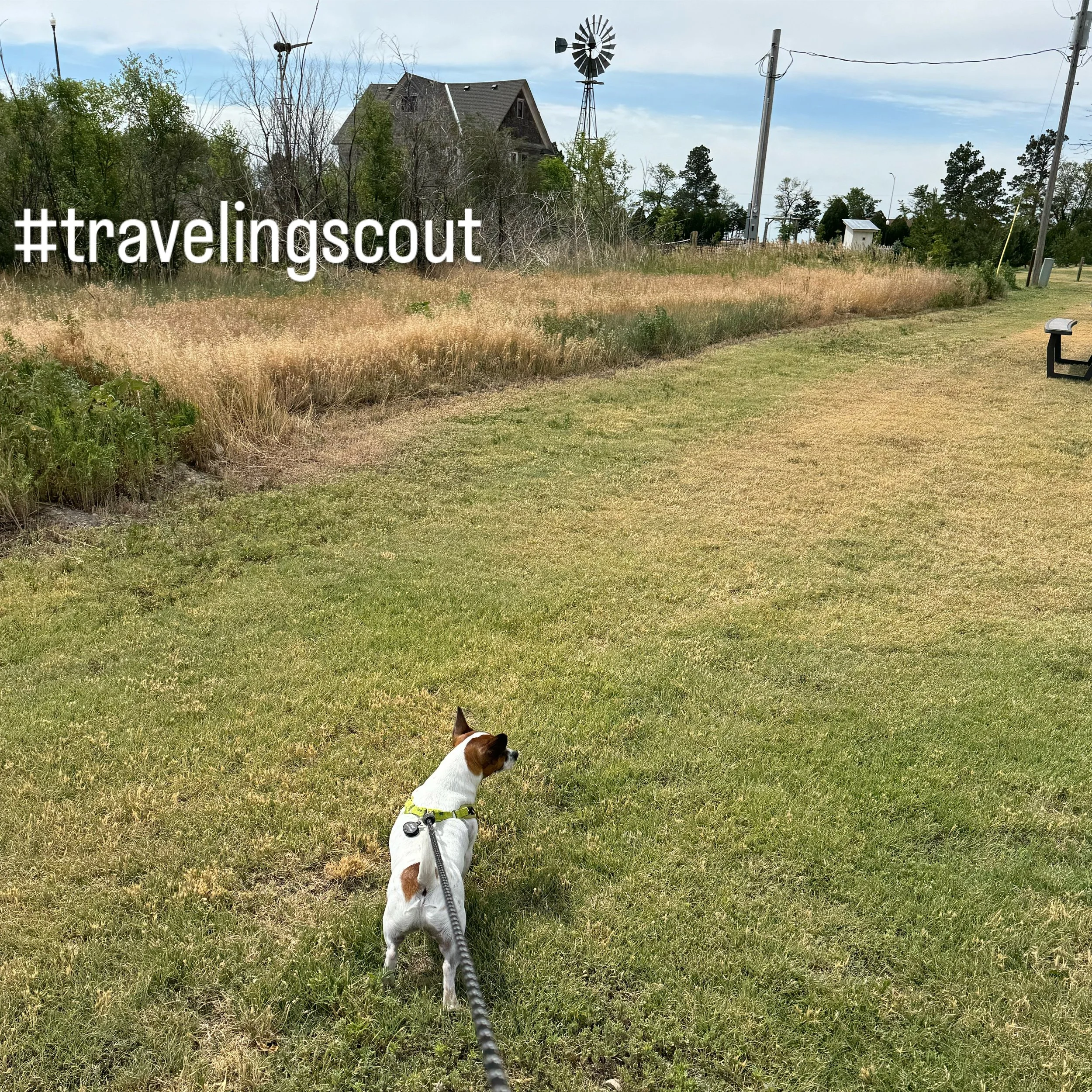 #travelingscout