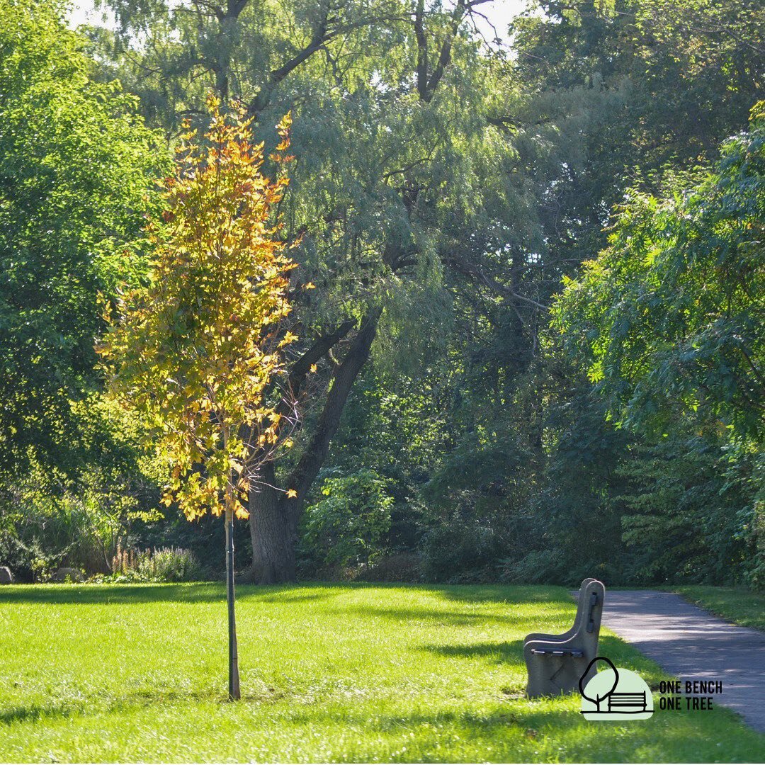 Here are some progress shots on our completed St John's - @sunnybrook installation!
A special thank you to Amber Hordyk, Andrew Rutten, Ed DeJonge, and Tracy from @cedarspringslandscapes, whom are also members of @landscapeontario, for donating their