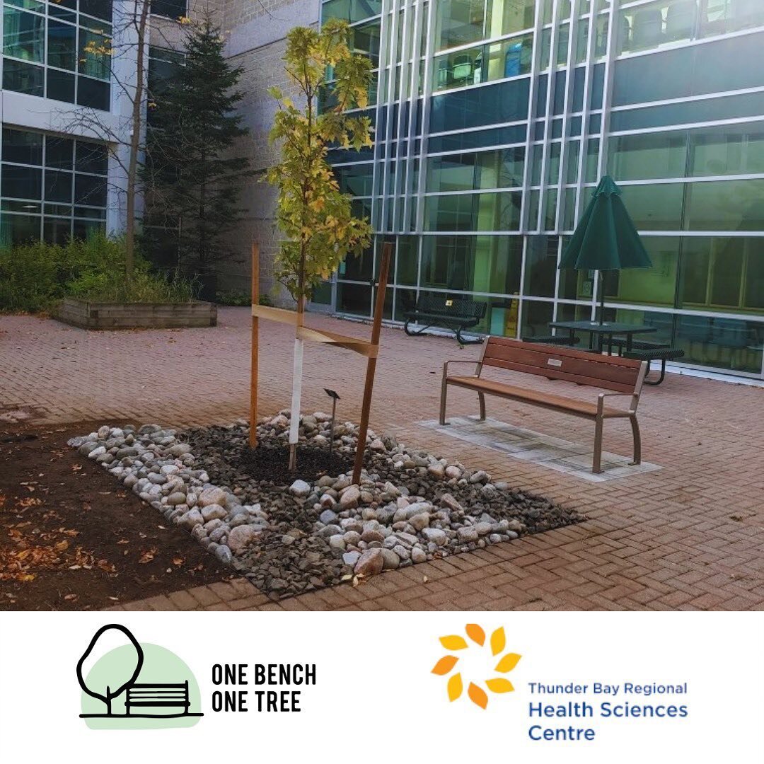 INSTALLATION UPDATE 

We are excited to announce the completion of our Thunder Bay One Bench One Tree installation! Thank you to the following partners that helped us make this project possible: 

@greatland1993 
@mapleleaves4ever 
@unilock 
@maglins