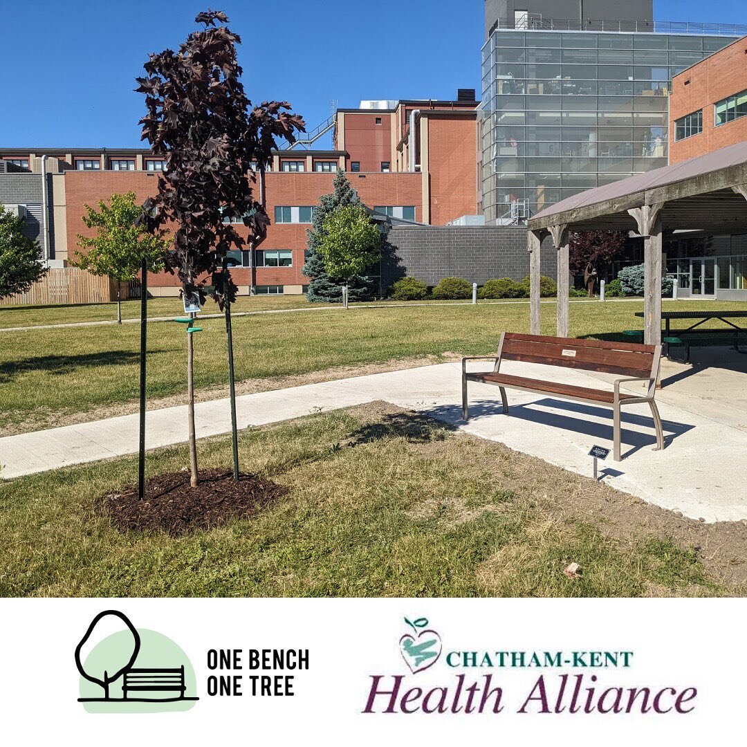 FIRST INSTALLATION OF THE NEW YEAR! 

We are excited to share that the Chatham-Kent Health Alliance One Bench One Tree installation is complete!

First off, thank you to Keegan Kare for your generous site donation. Please check out their website at w
