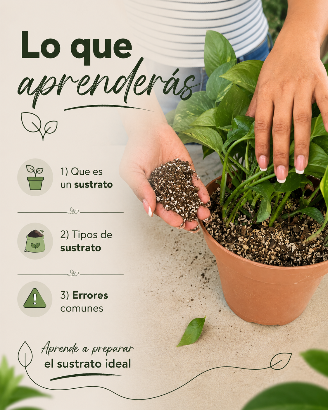 Imagen de producto 2.png