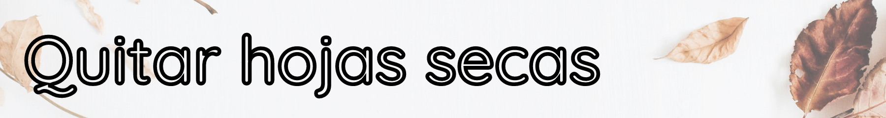 Copia de Quitar hojas secas.png