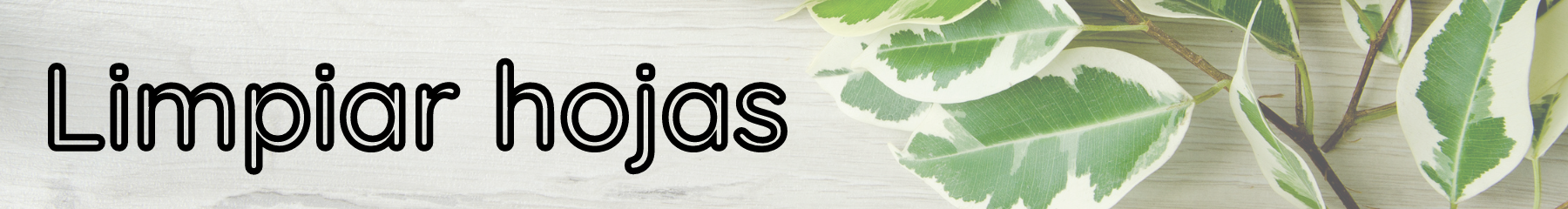 Copia de Quitar hojas secas (1).png