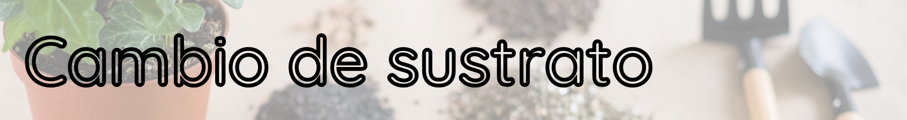 Copia de Quitar hojas secas (6).png