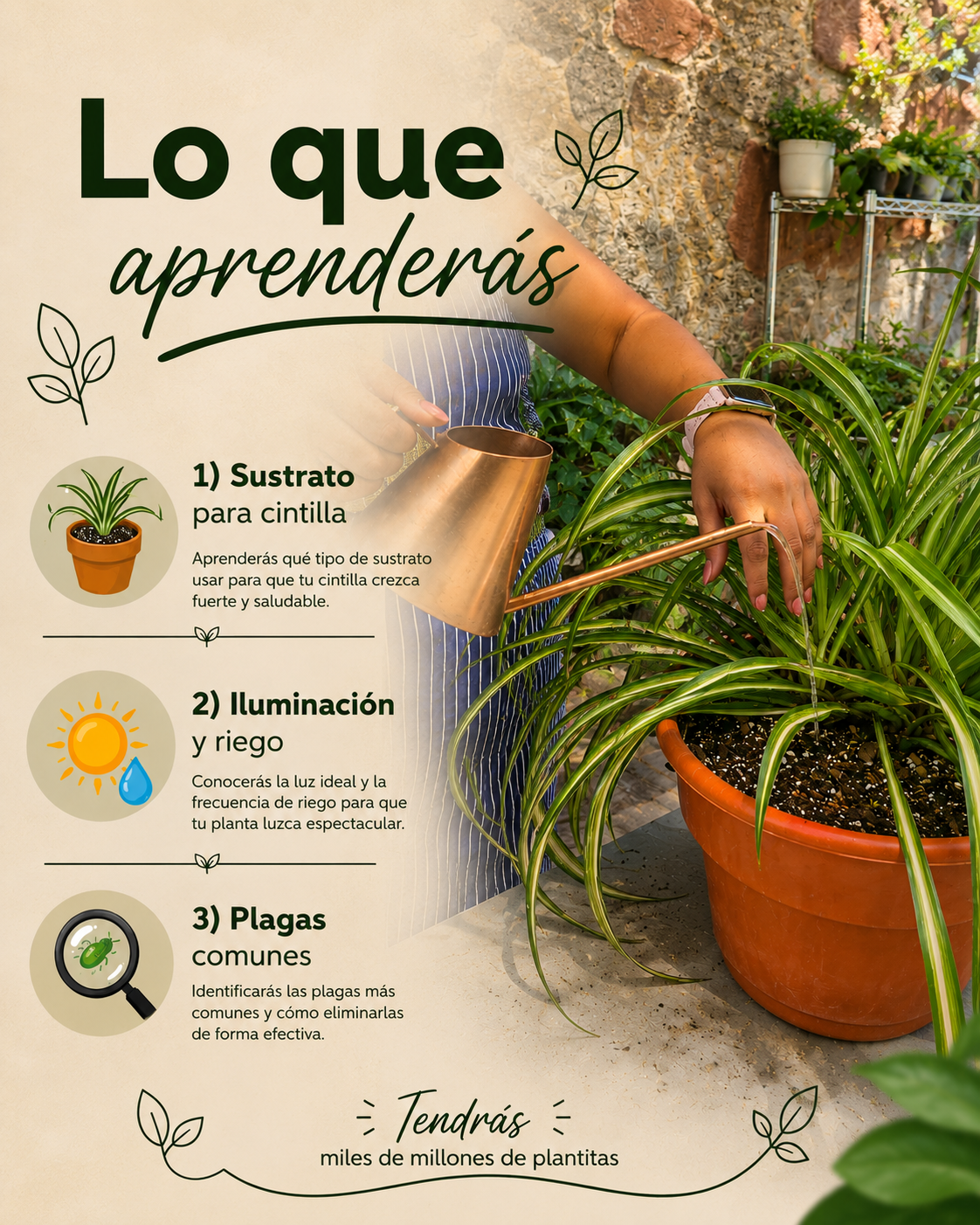 Imagen de producto 2.png