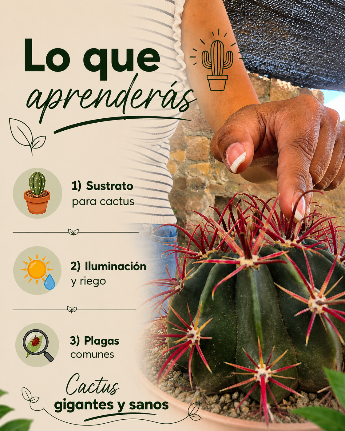 Imagen de producto 2.png