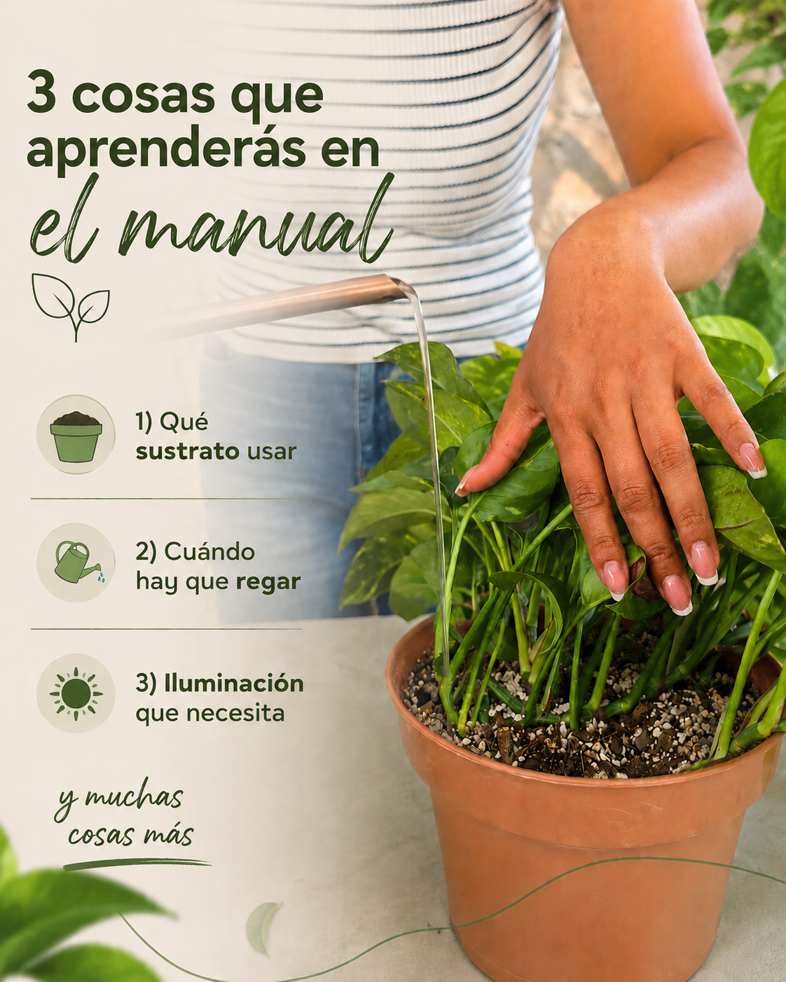 Imagen de producto 2.png