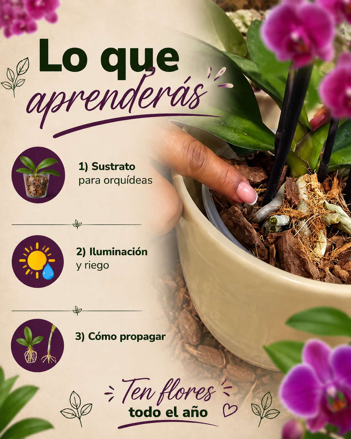 Imagen de producto 2.png