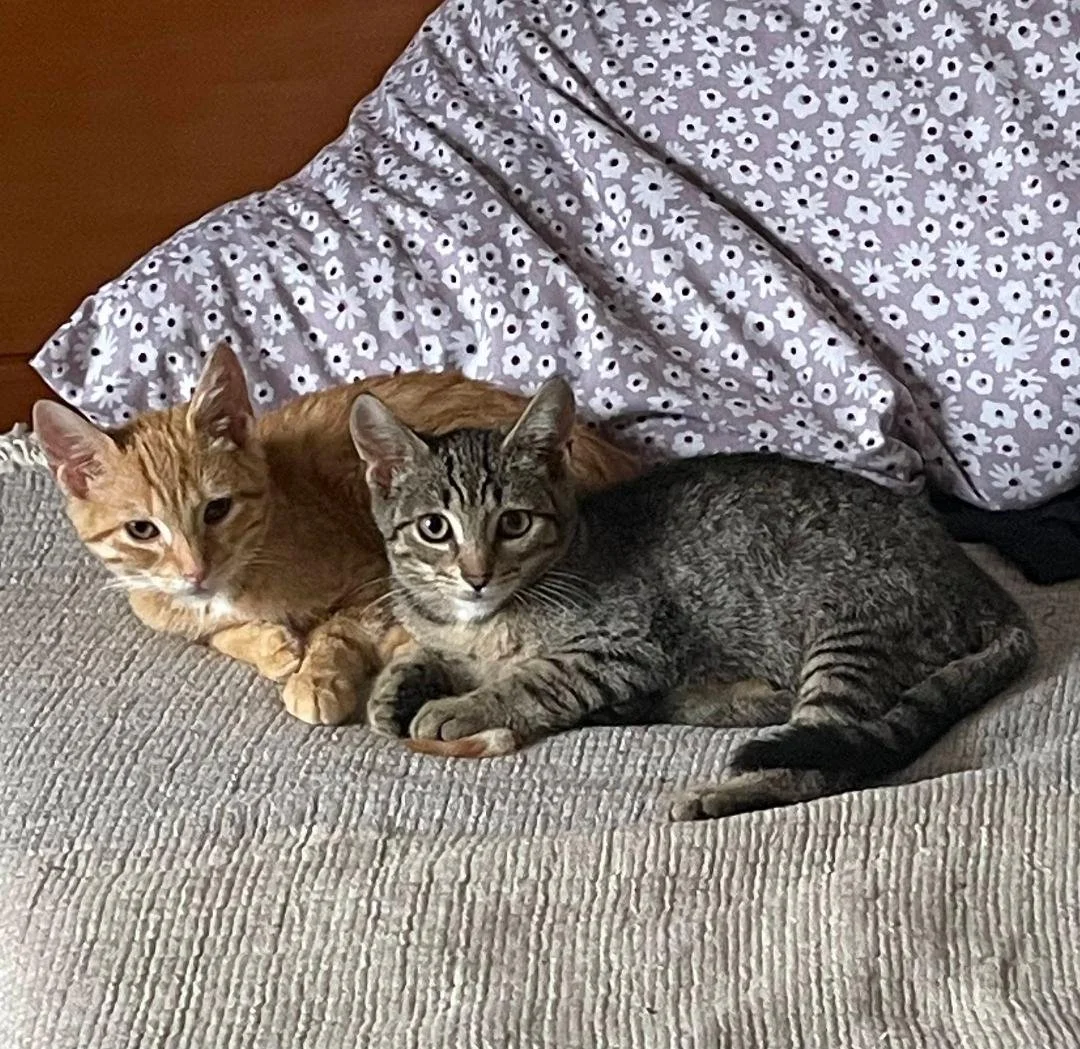 Bernie & Clyde.jpg