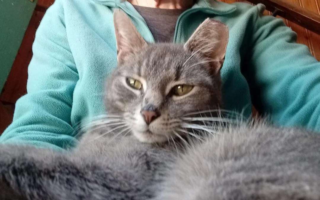 aggiein lap.jpg