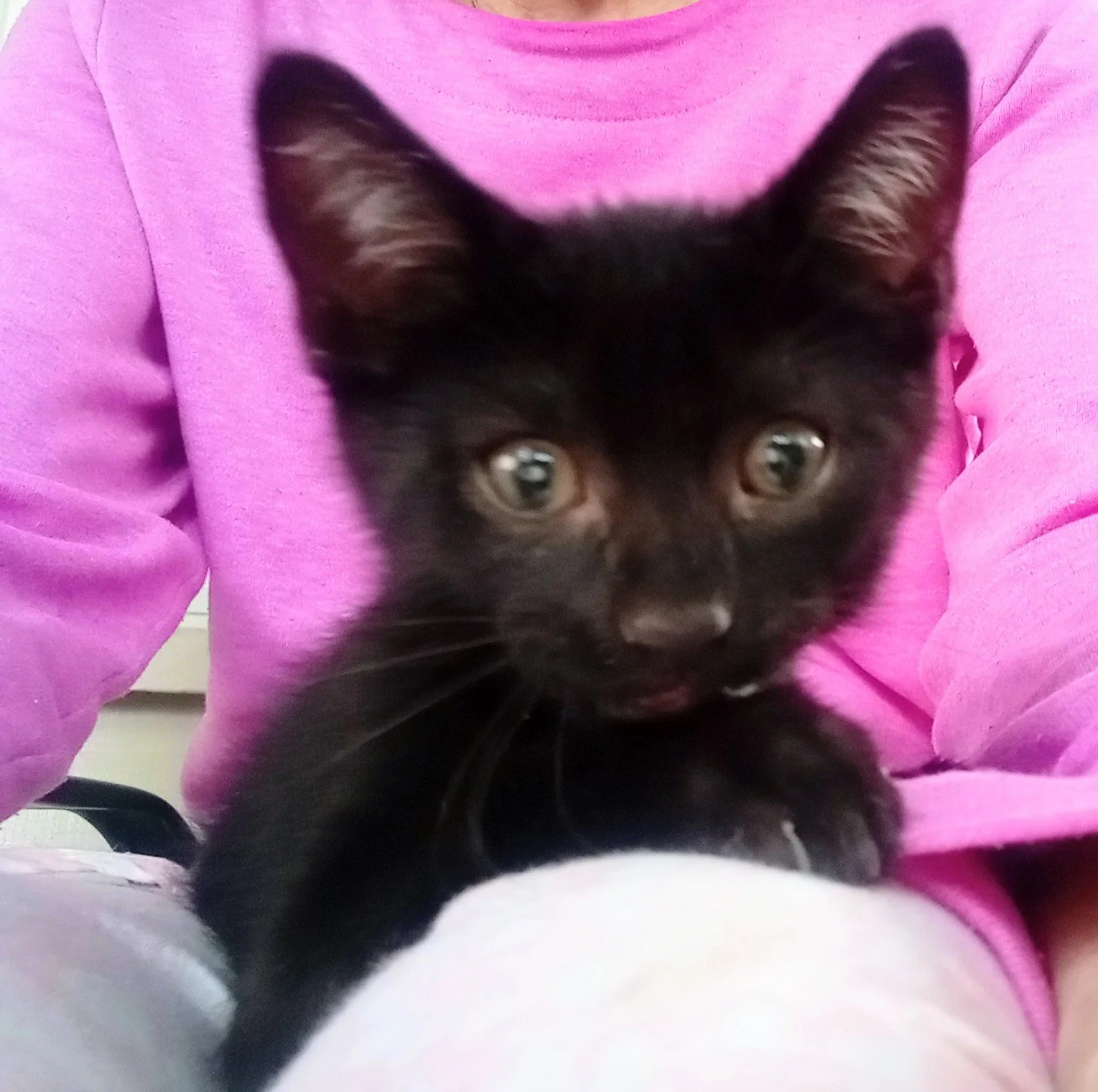 IMG_20260902_101014408_BURST001~2.jpg
