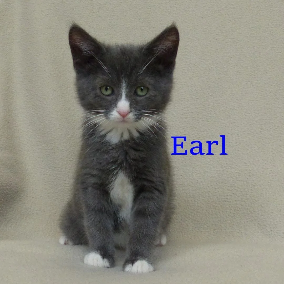 earl.jpg