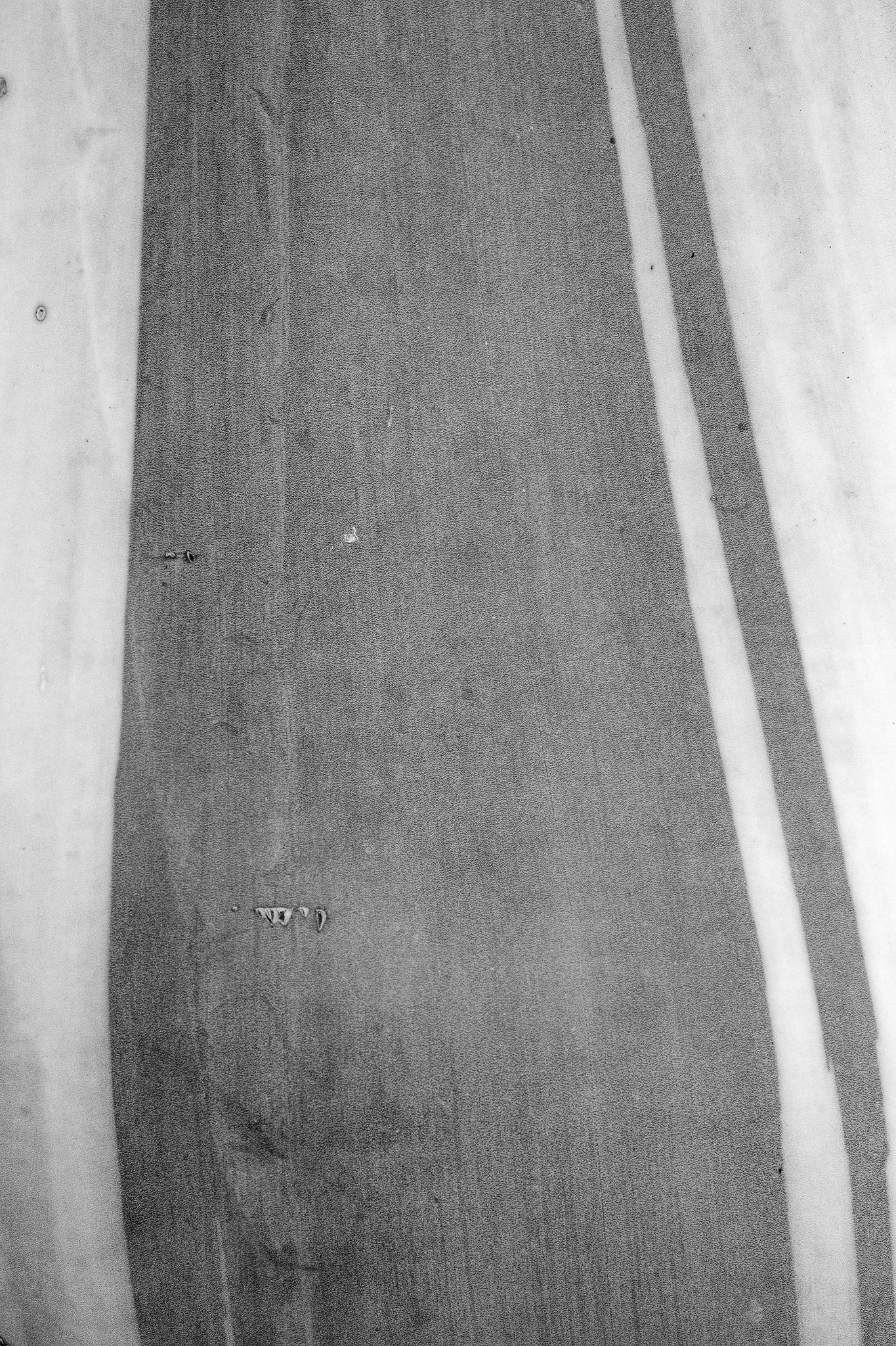 DSCF9870.jpg