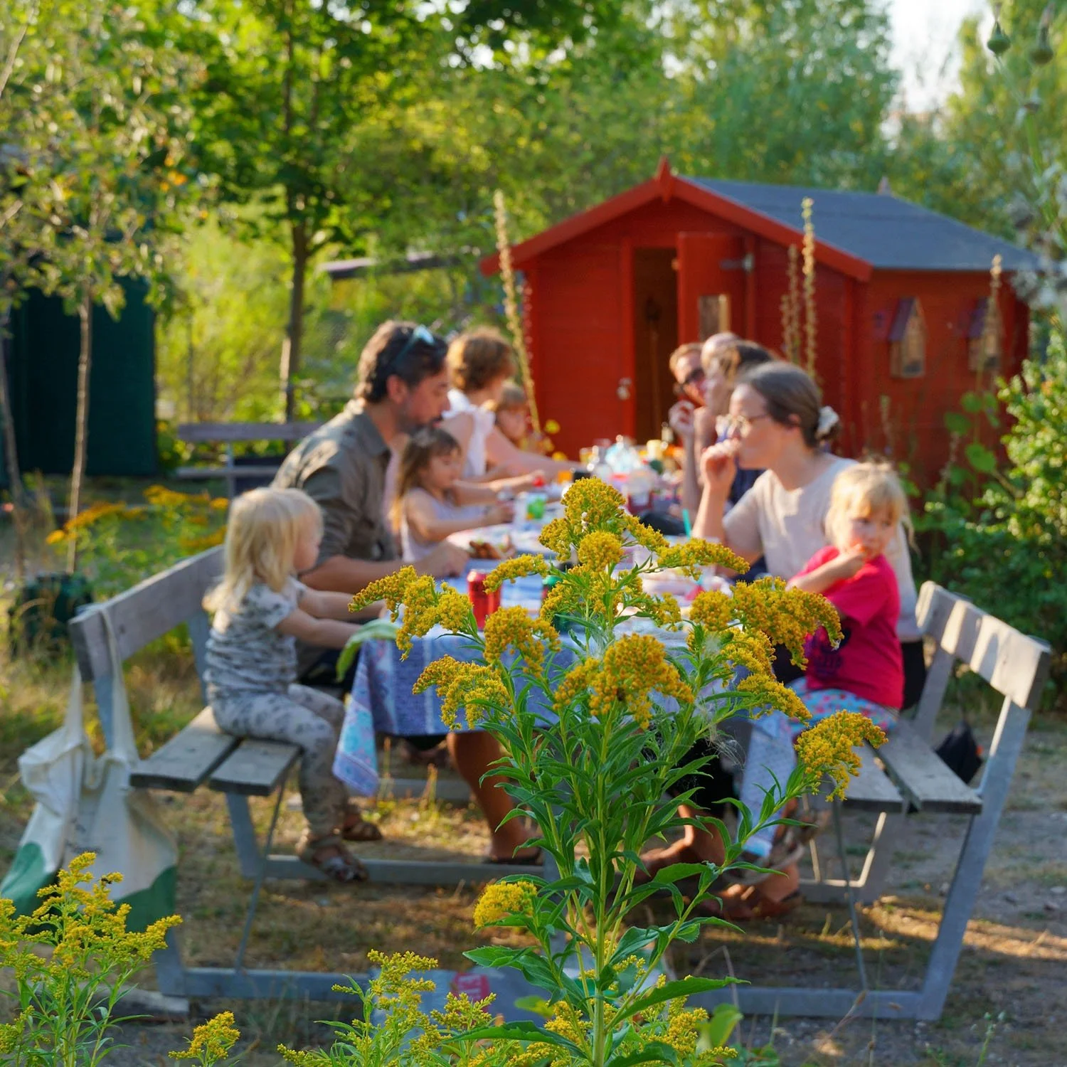 ＜近日告知予定＞ デンマーク「麦の家」&ロブロ体験ツアー2026