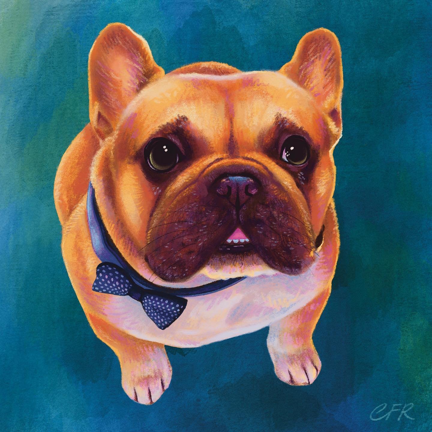 Speaking of funny little dogs, here&rsquo;s a recent commission for a loved little guy (who sadly recently crossed the rainbow bridge 🌈) It was wonderful to bring as much color and life to this more realistic portrait as I could, so swipe to see som
