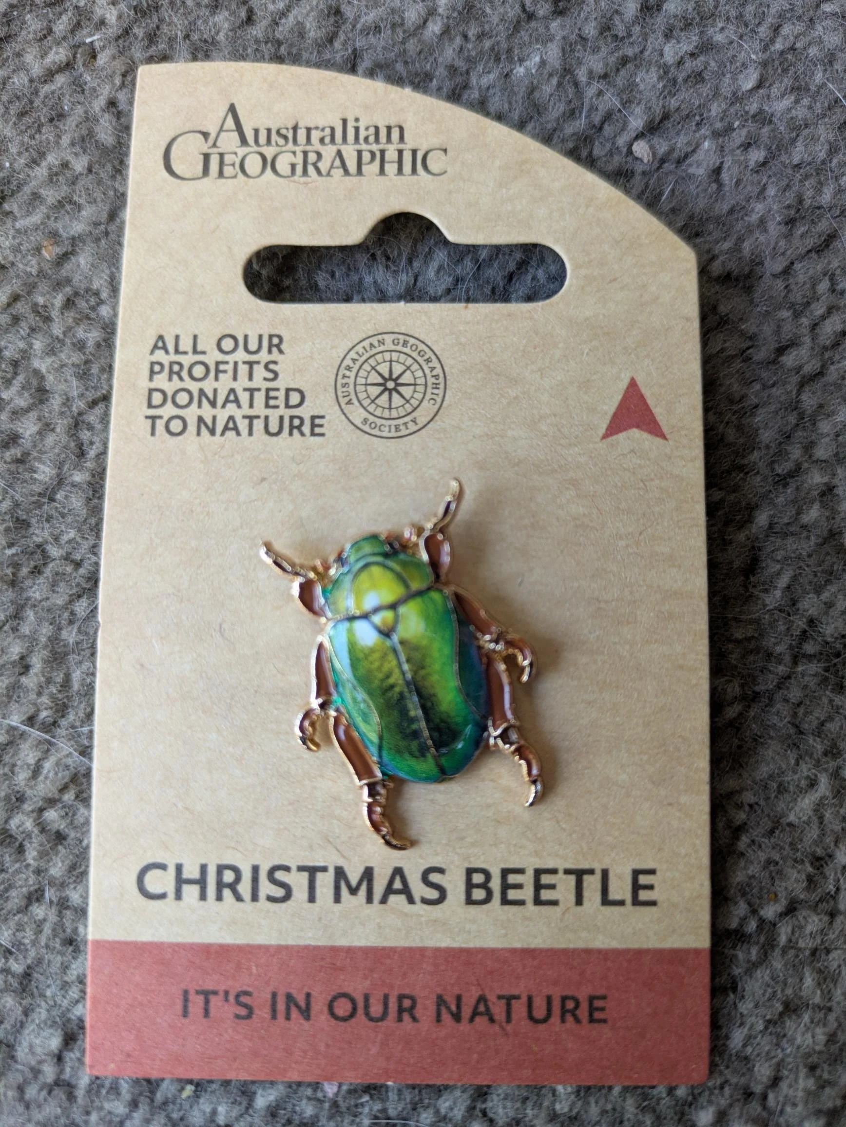 Christmas Beetle Pin