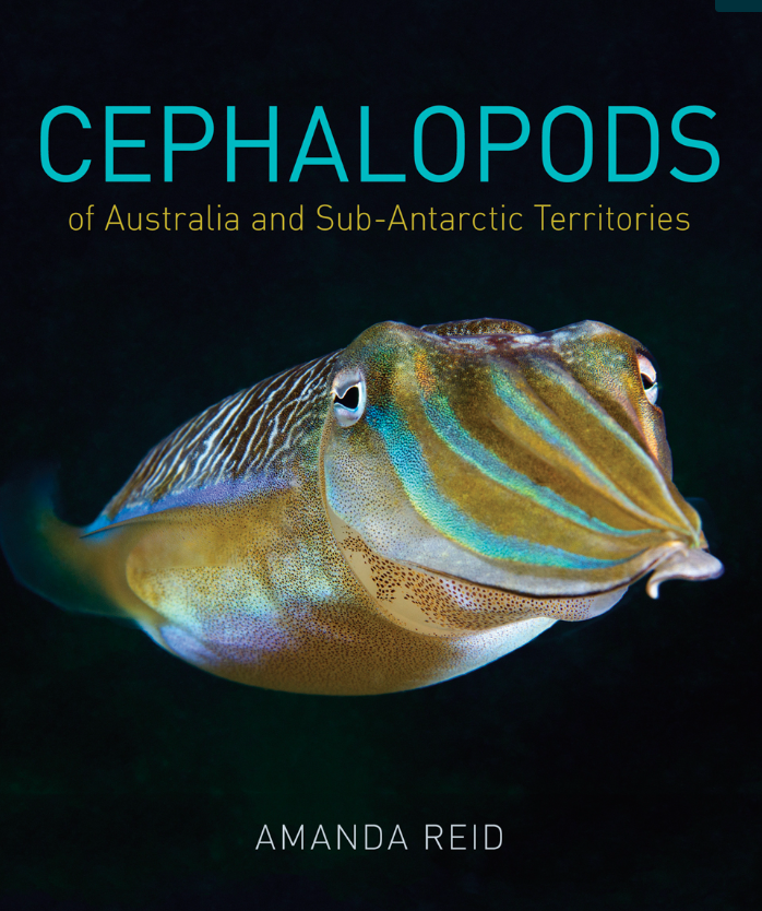 Cephalopods of Australia and Sub-Antarctic Territories by Amanda Reid