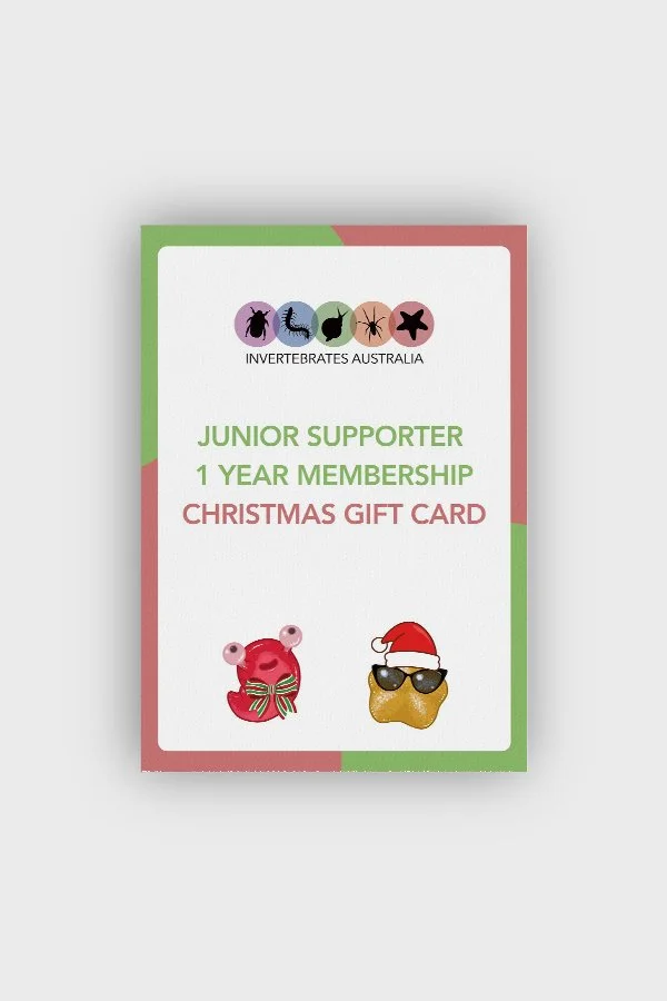 Gift a Junior Supporter Subscription - Christmas