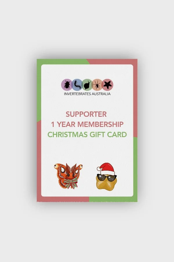 IA-Supporter-Christmas-Gift-Card.jpg
