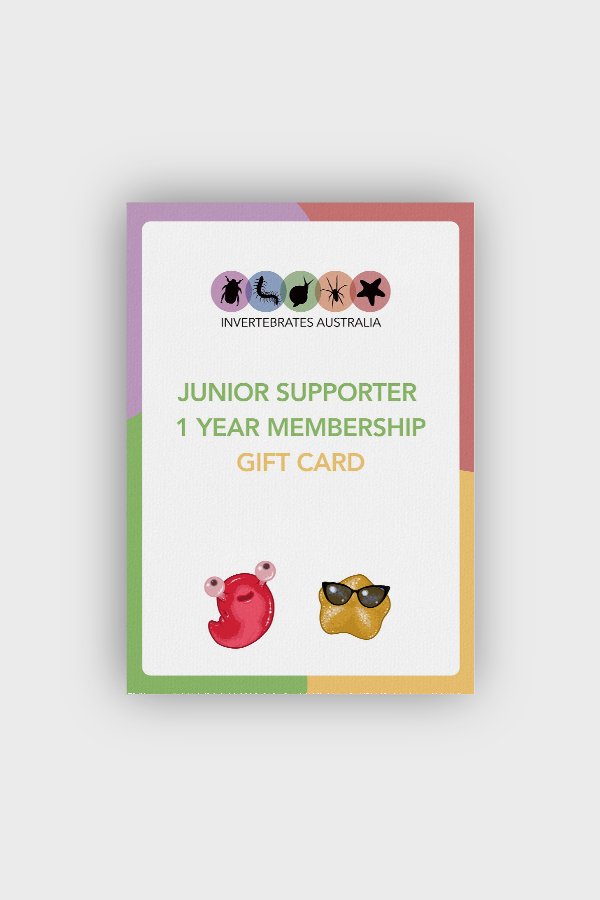 Gift a Junior Supporter Subscription