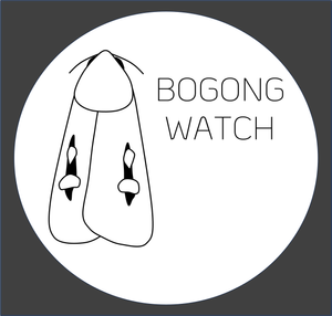 Bogong Watch — Invertebrates Australia