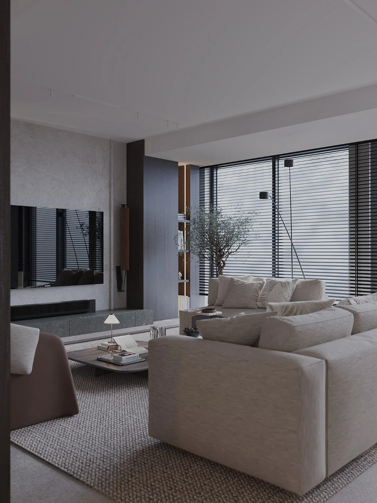 design_interior_casa_pipera_350_mp_living_4.JPG