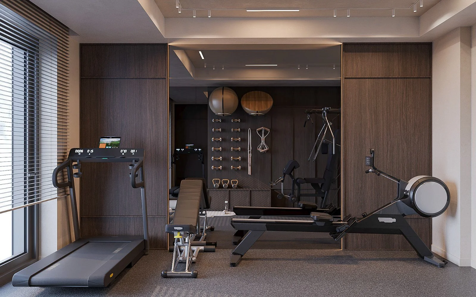 design_interior_casa_pipera_gym