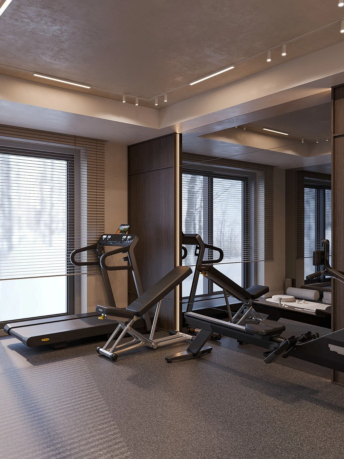 design_interior_casa_pipera_gym