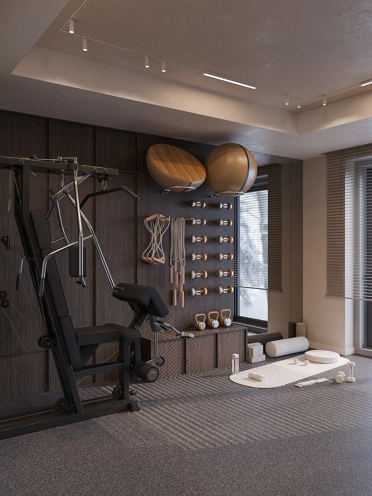 design_interior_casa_pipera_gym