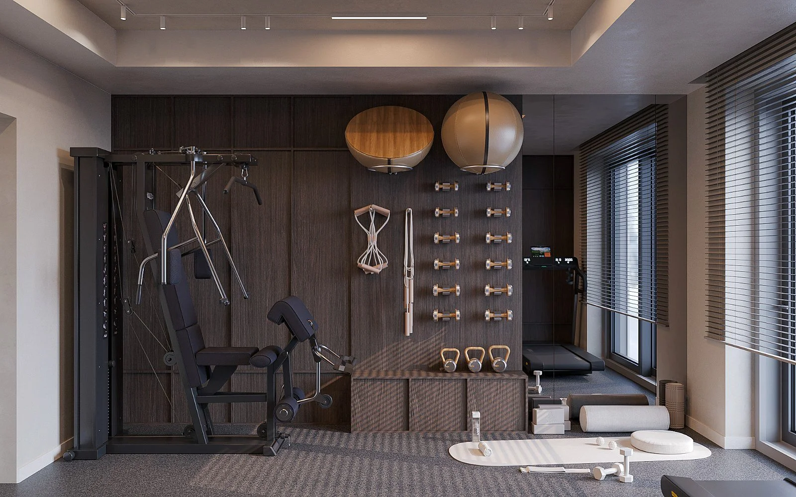 design_interior_casa_pipera_gym