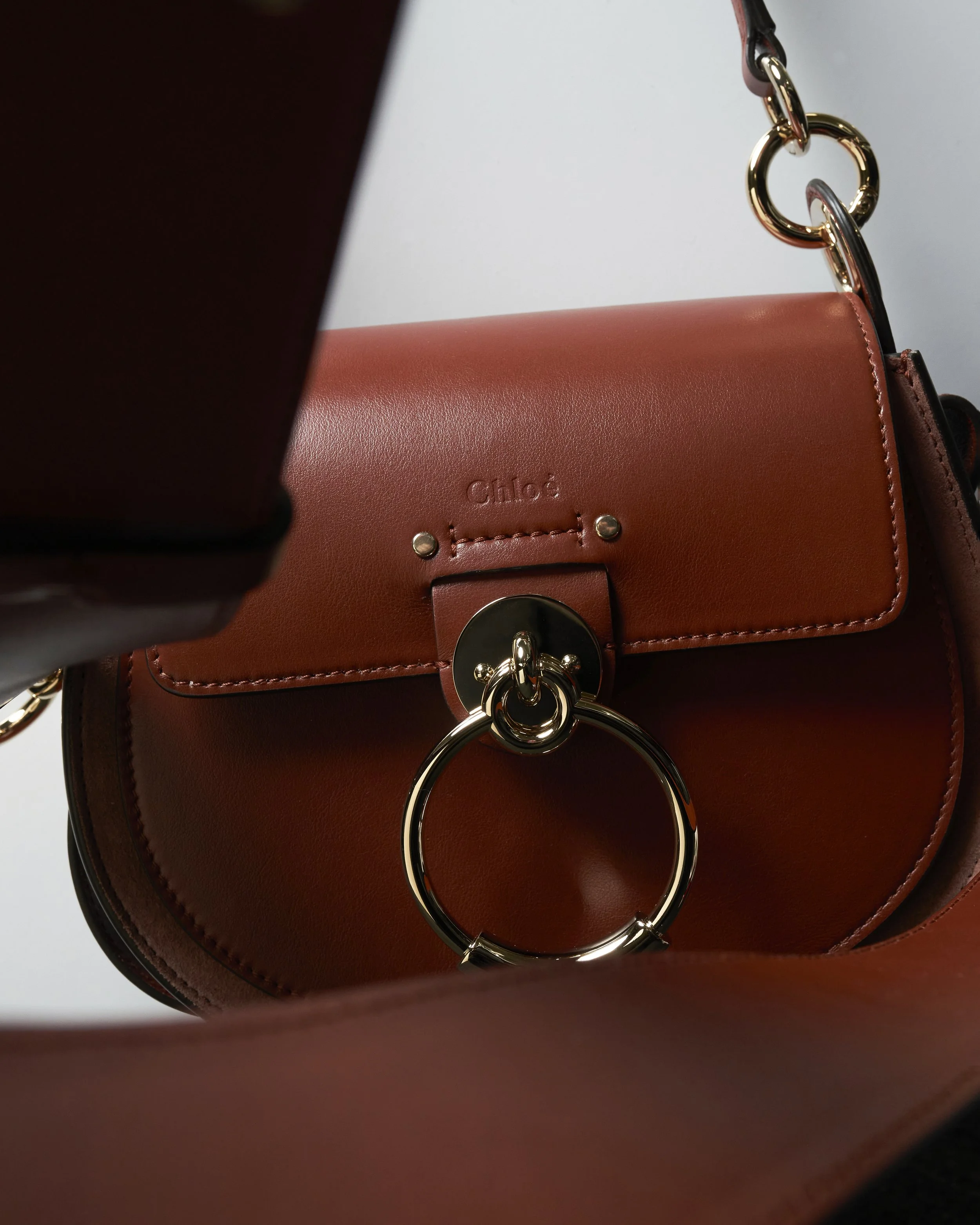 Small Tess Bag in Sepia Brown - POST 2.jpg