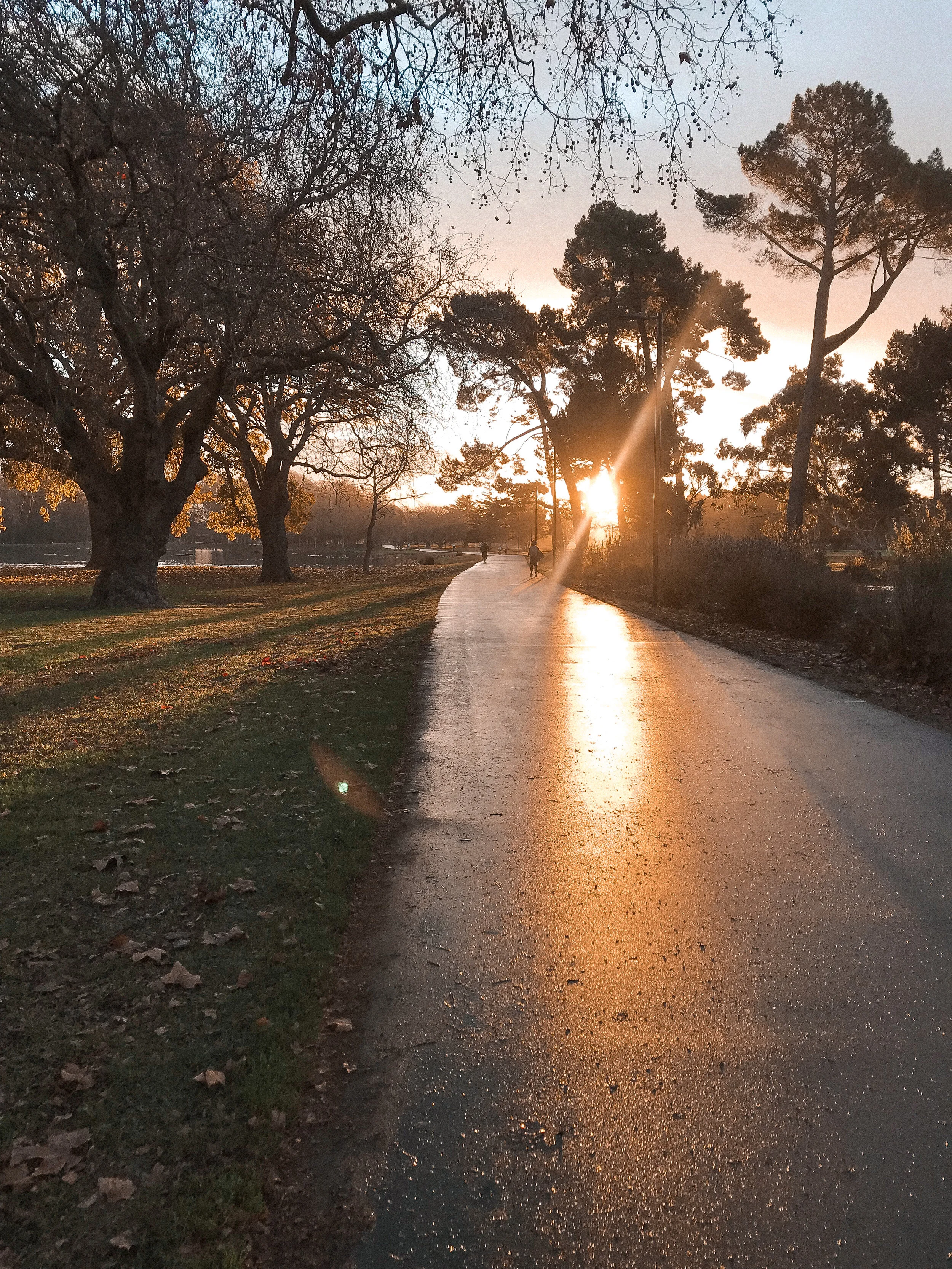 my perspective of health
