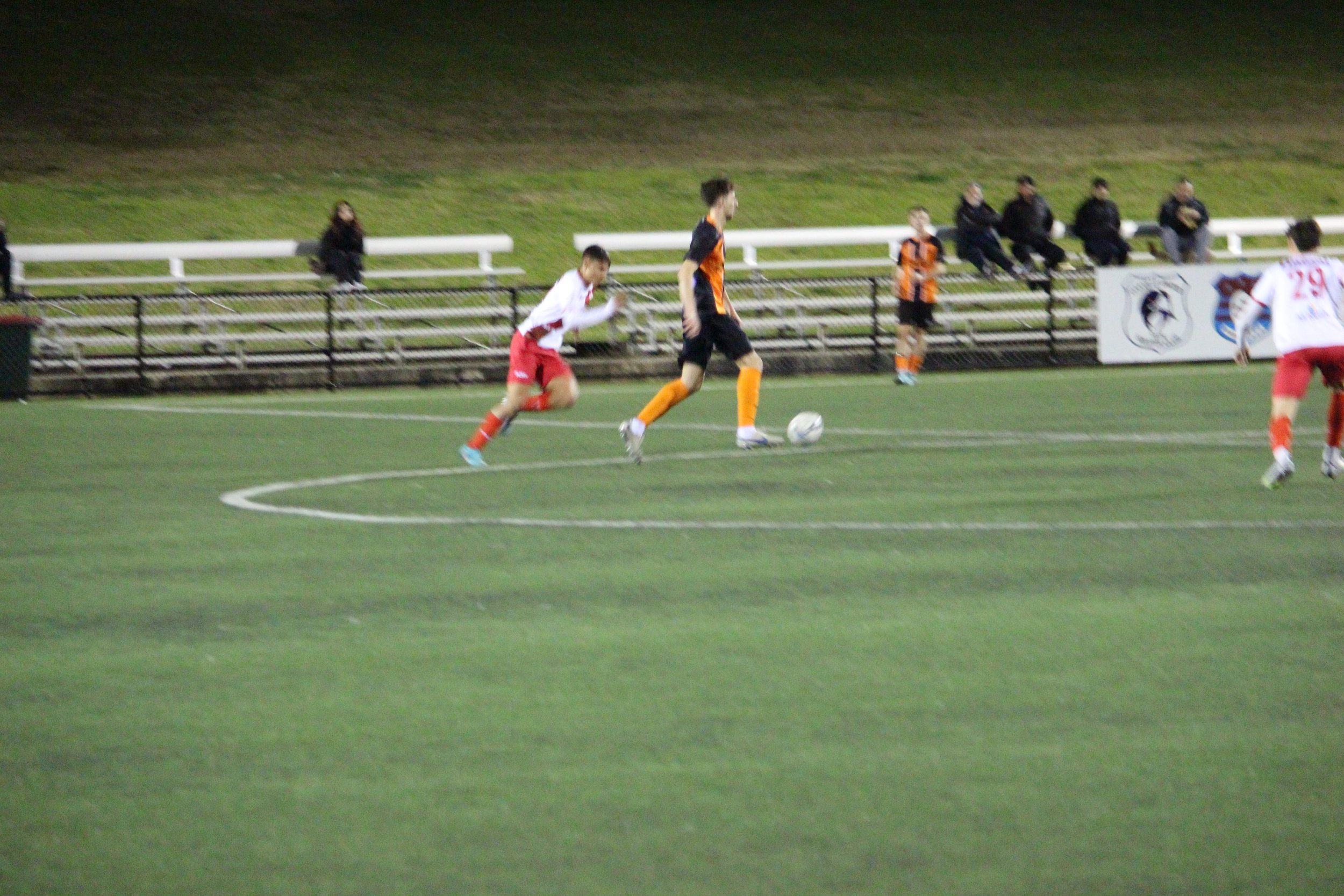 IMG_4419.JPG