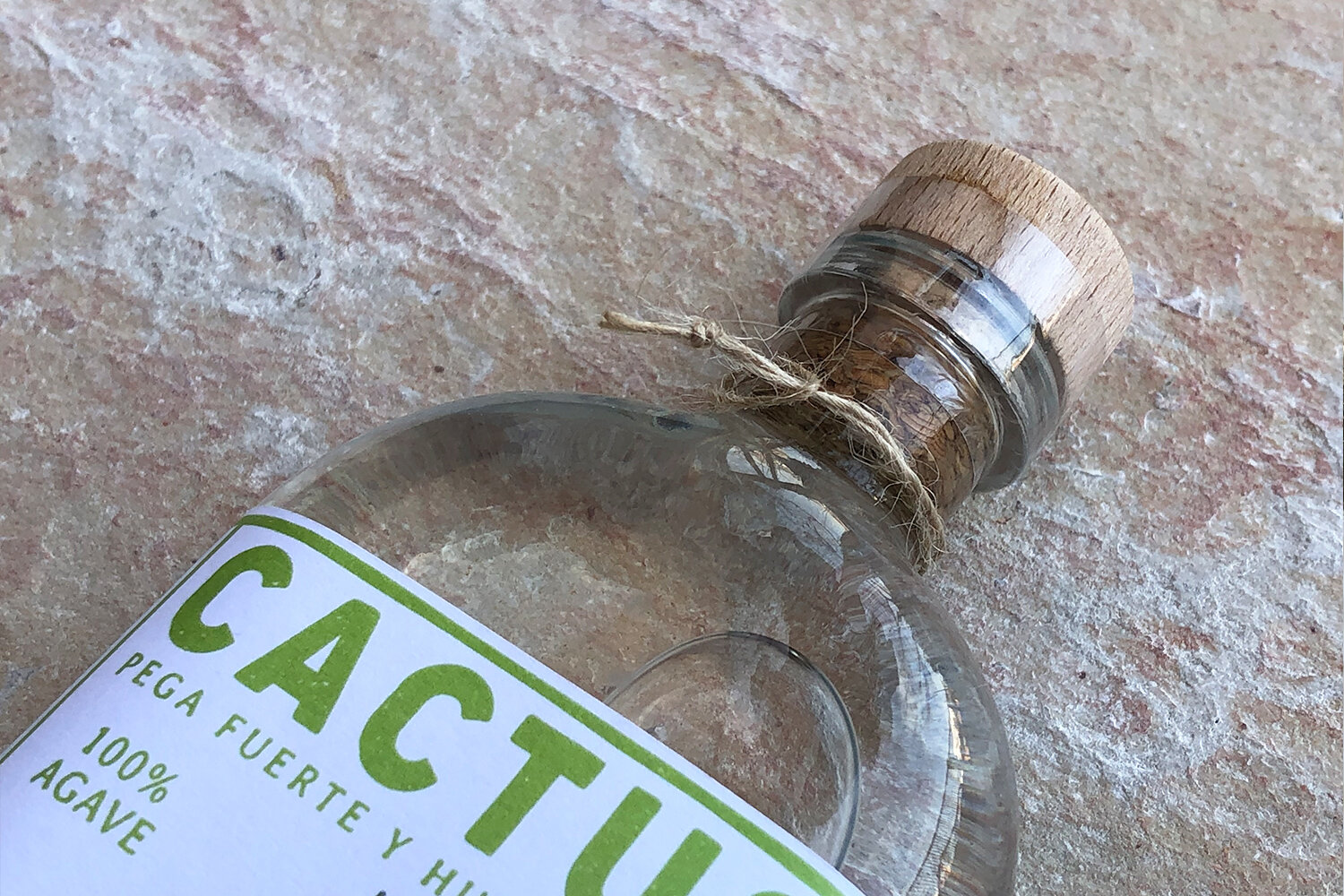 Cactus-9.jpg